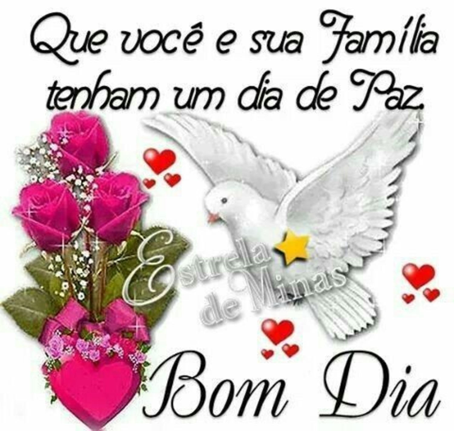 Bom Dia familia 665