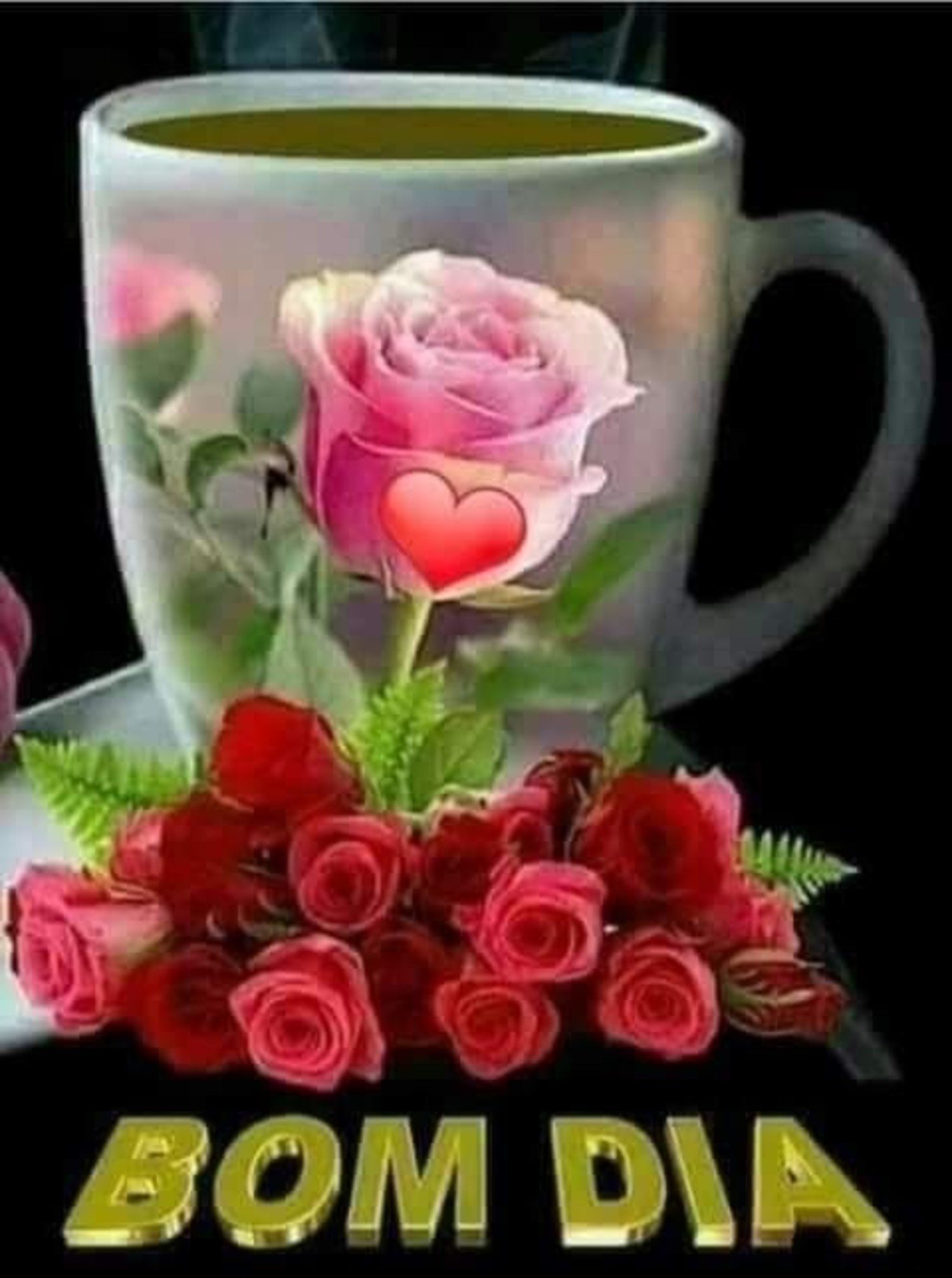Bom Dia fotos 1047
