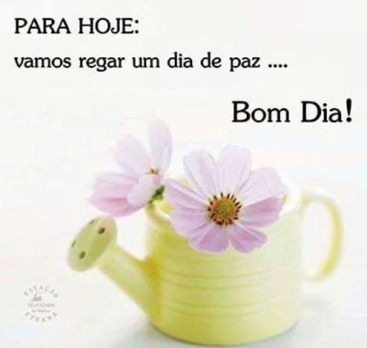 Bom Dia frases lindas 701