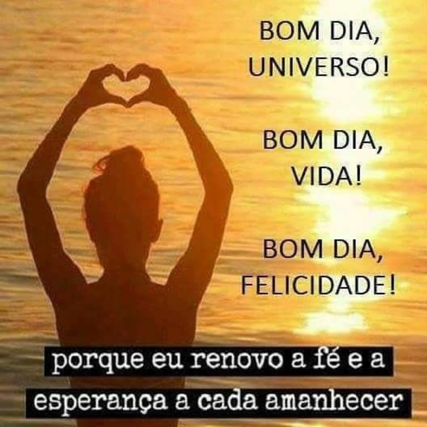 Bom Dia gente linda 736
