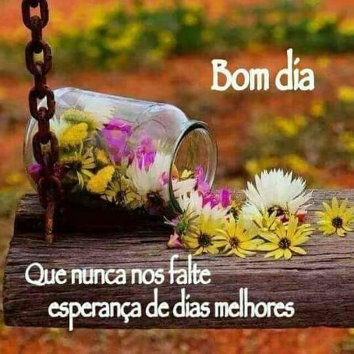 Bom Dia imagem 762