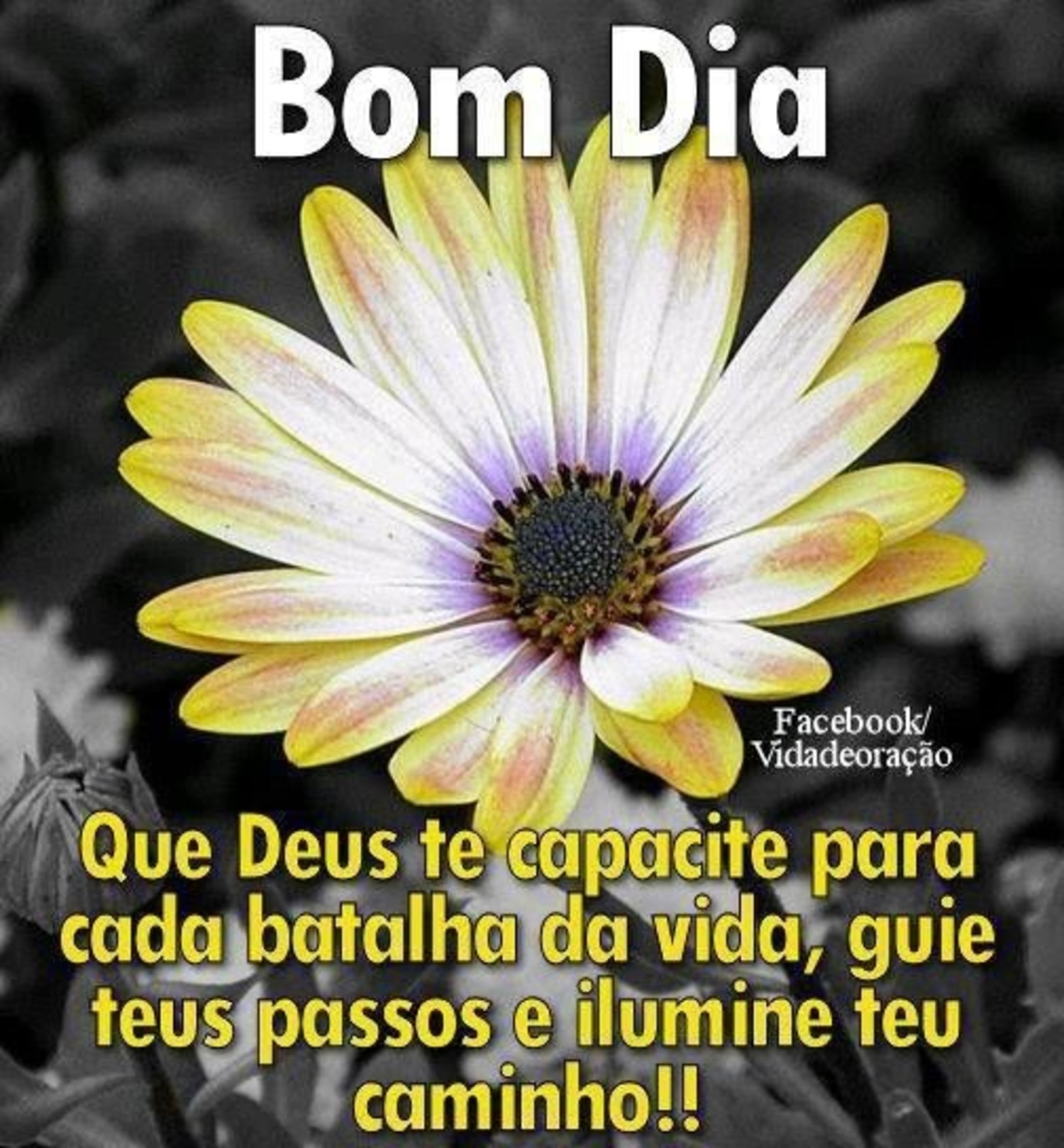 Bom Dia imagem 765