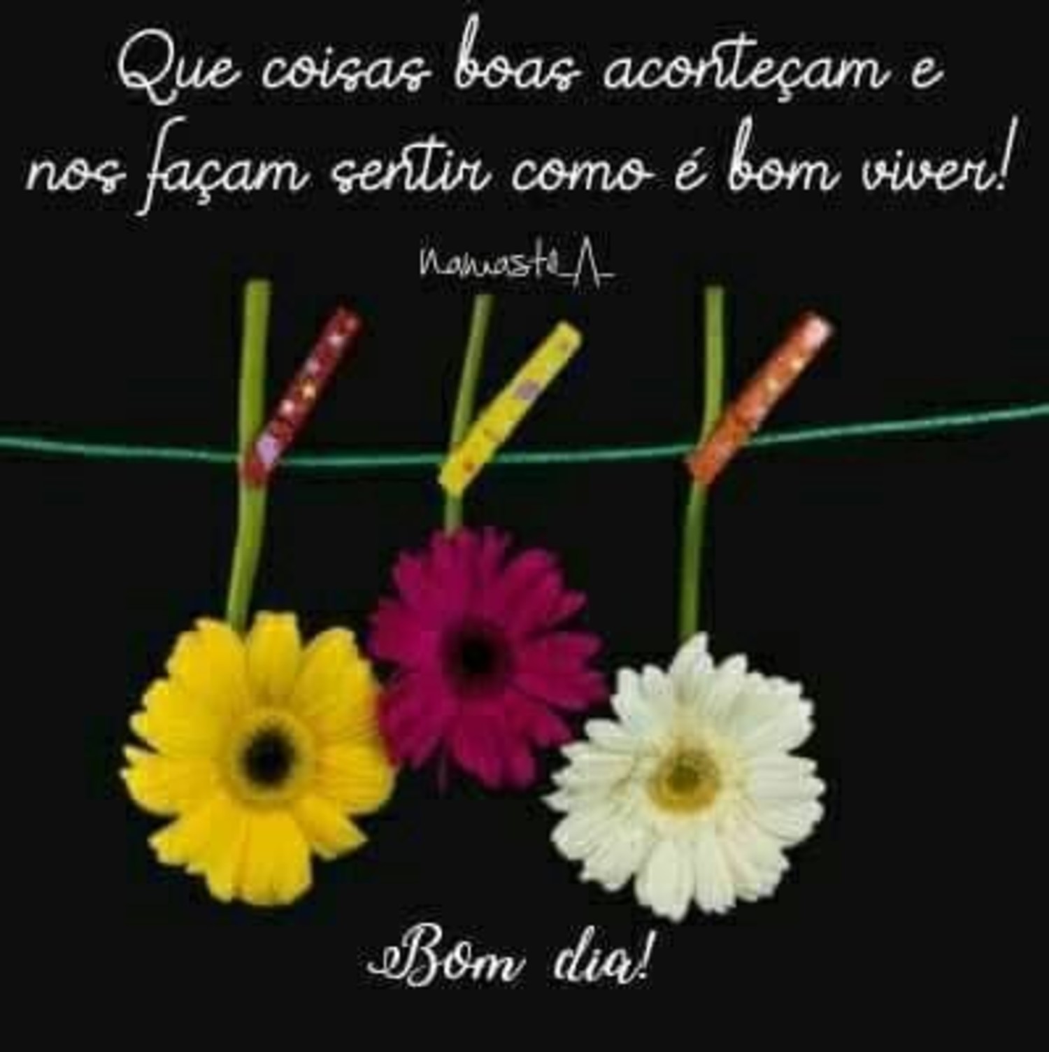 Bom Dia imagem Bom Dia imagem