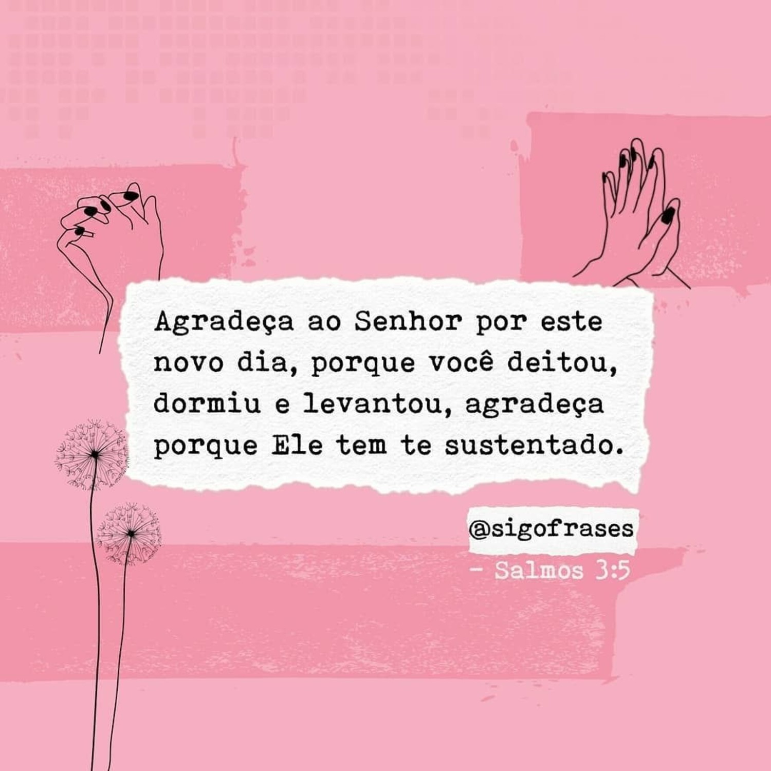 Bom Dia imagem 774