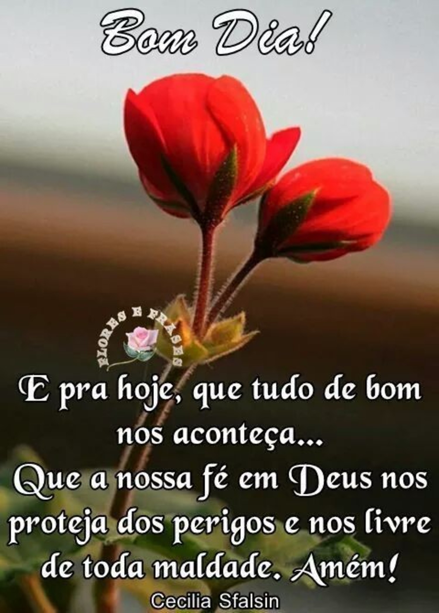 Bom Dia imagens lindas Bom Dia imagens lindas