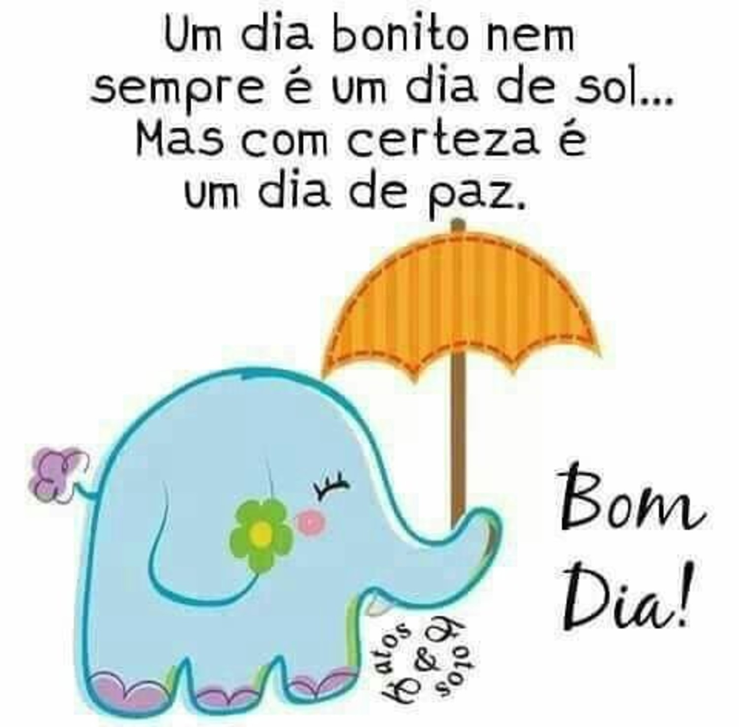 Bom Dia lindas mensagens 791