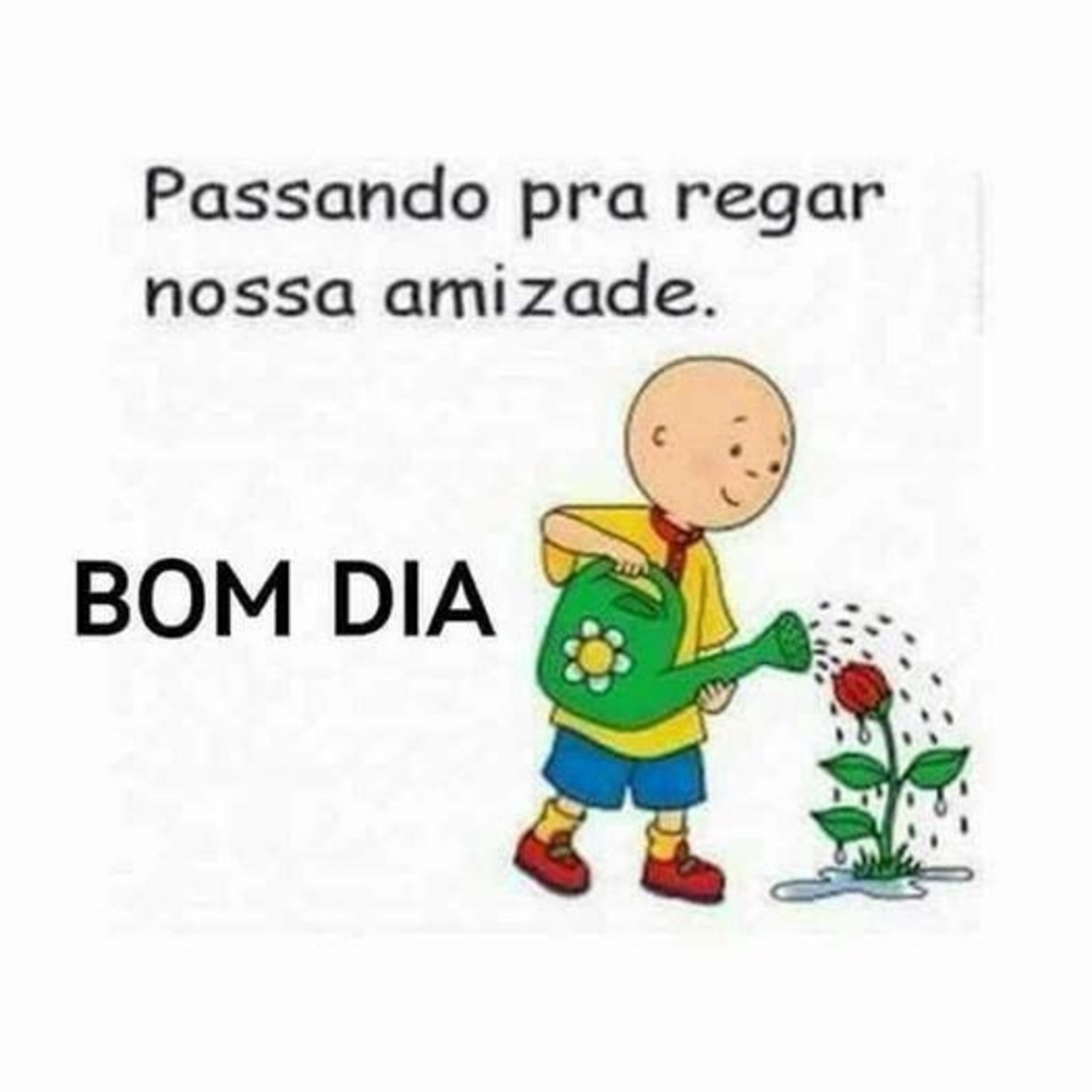 Bom Dia lindas mensagens 792