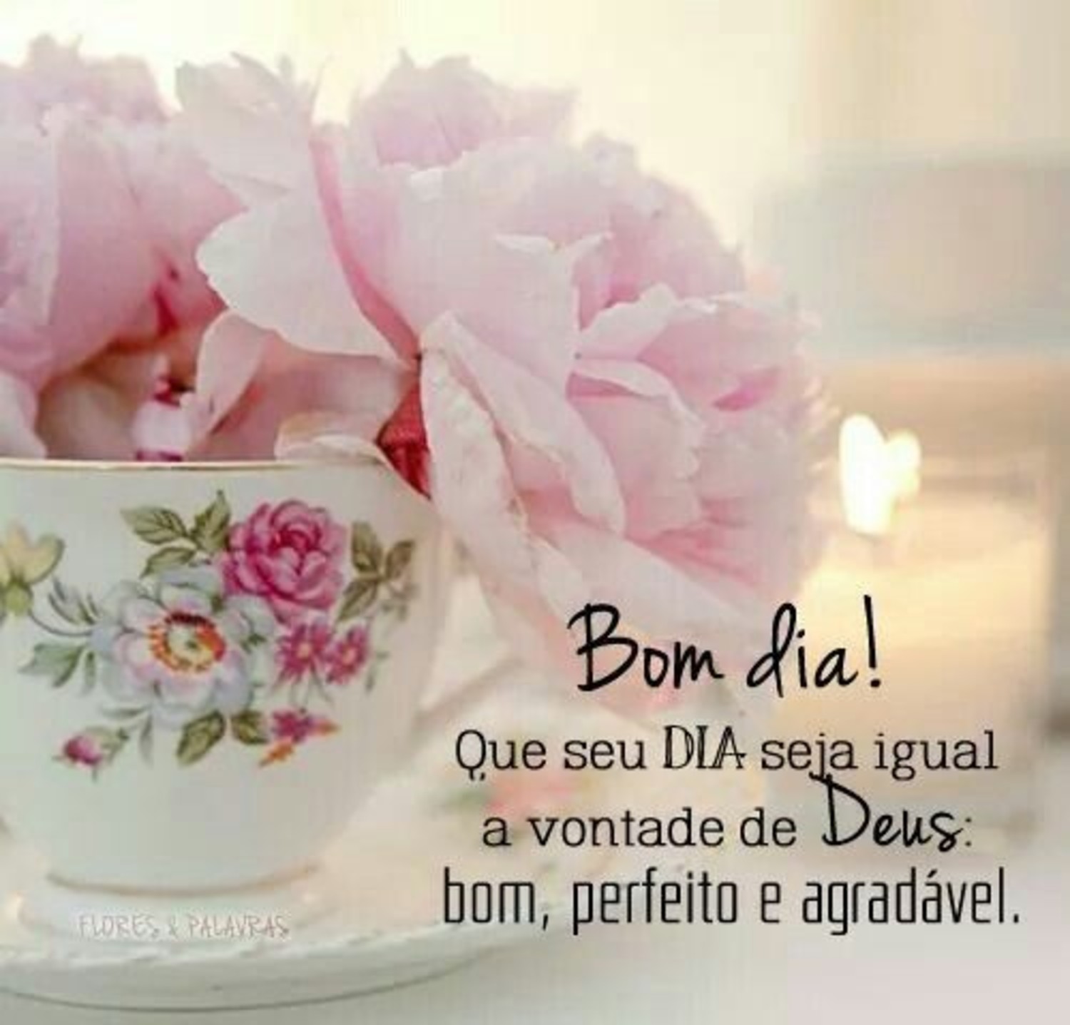 Bom Dia mensagens 1029