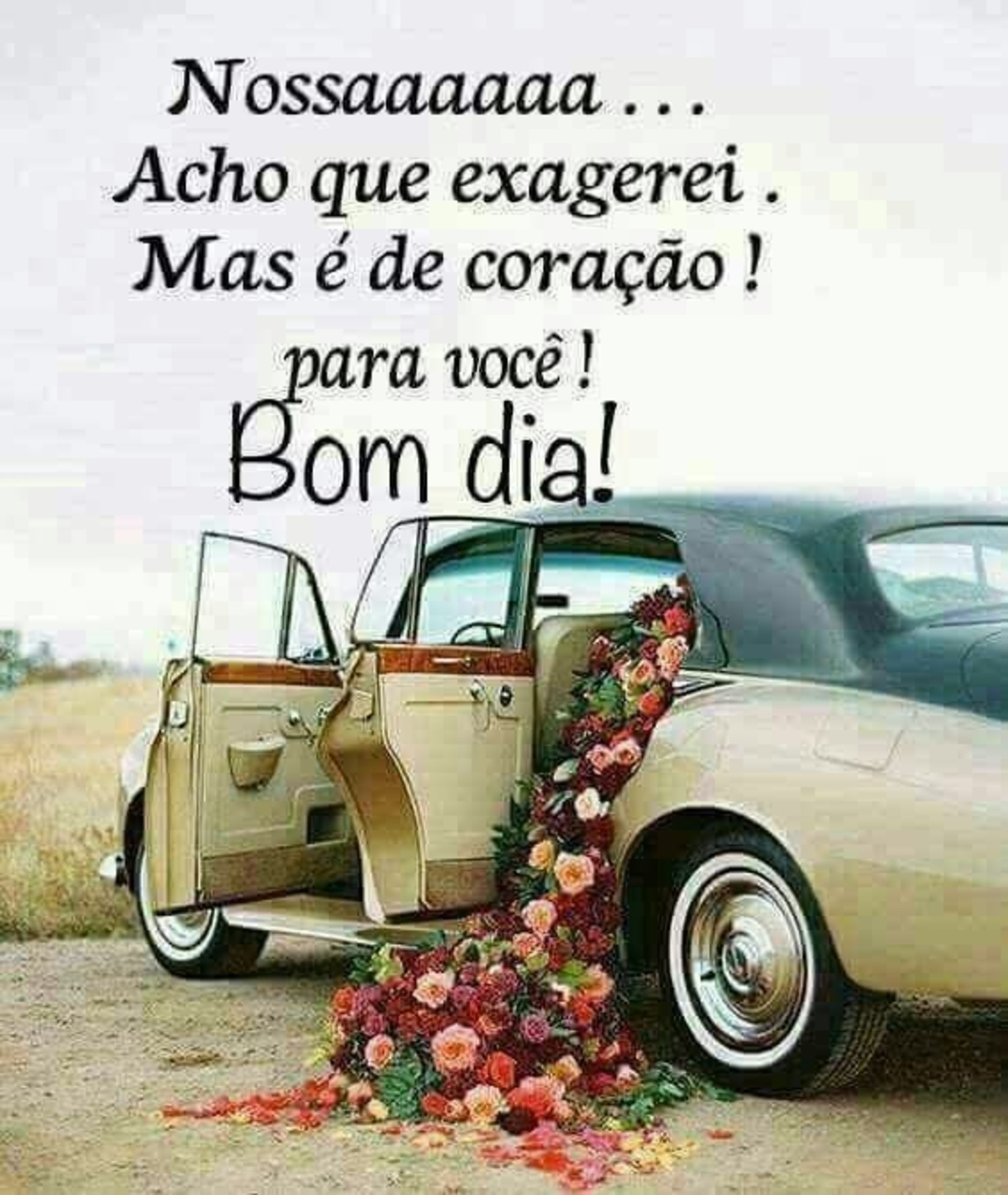 Bom Dia mensagens para WhatsApp 896