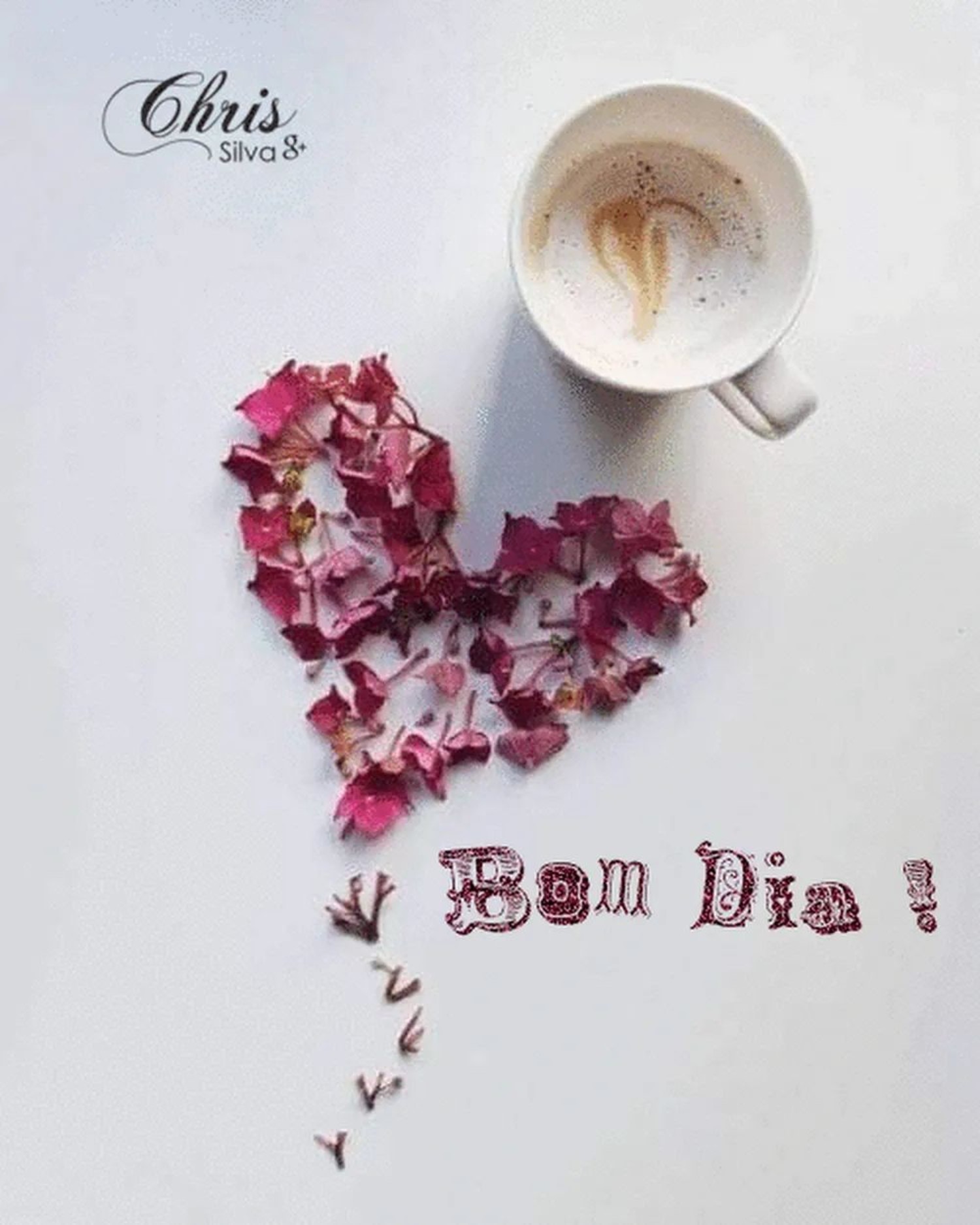 Bom Dia mensagens para WhatsApp 905