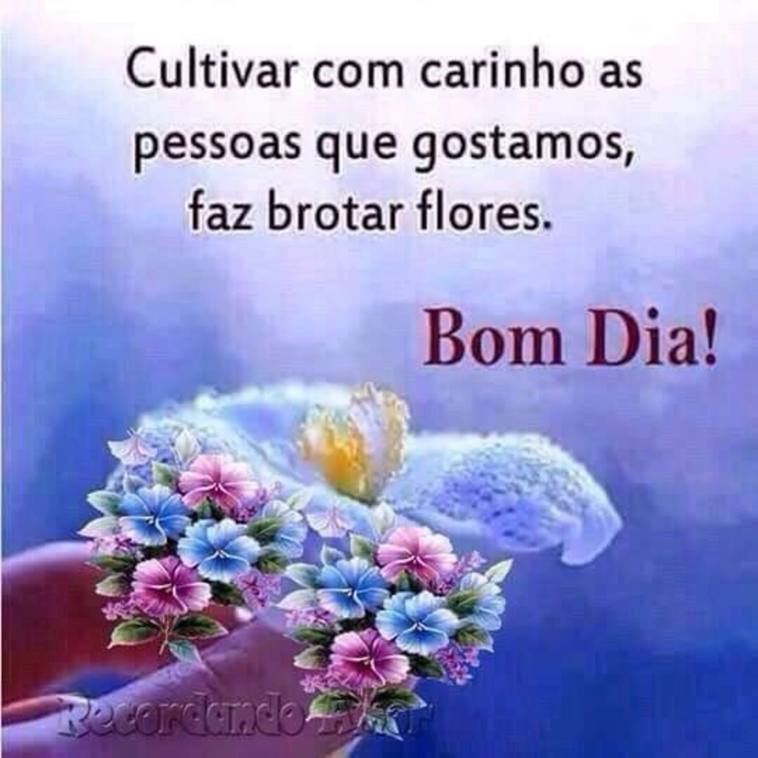 Bom Dia para WhatsApp 795 Bom Dia para WhatsApp 795