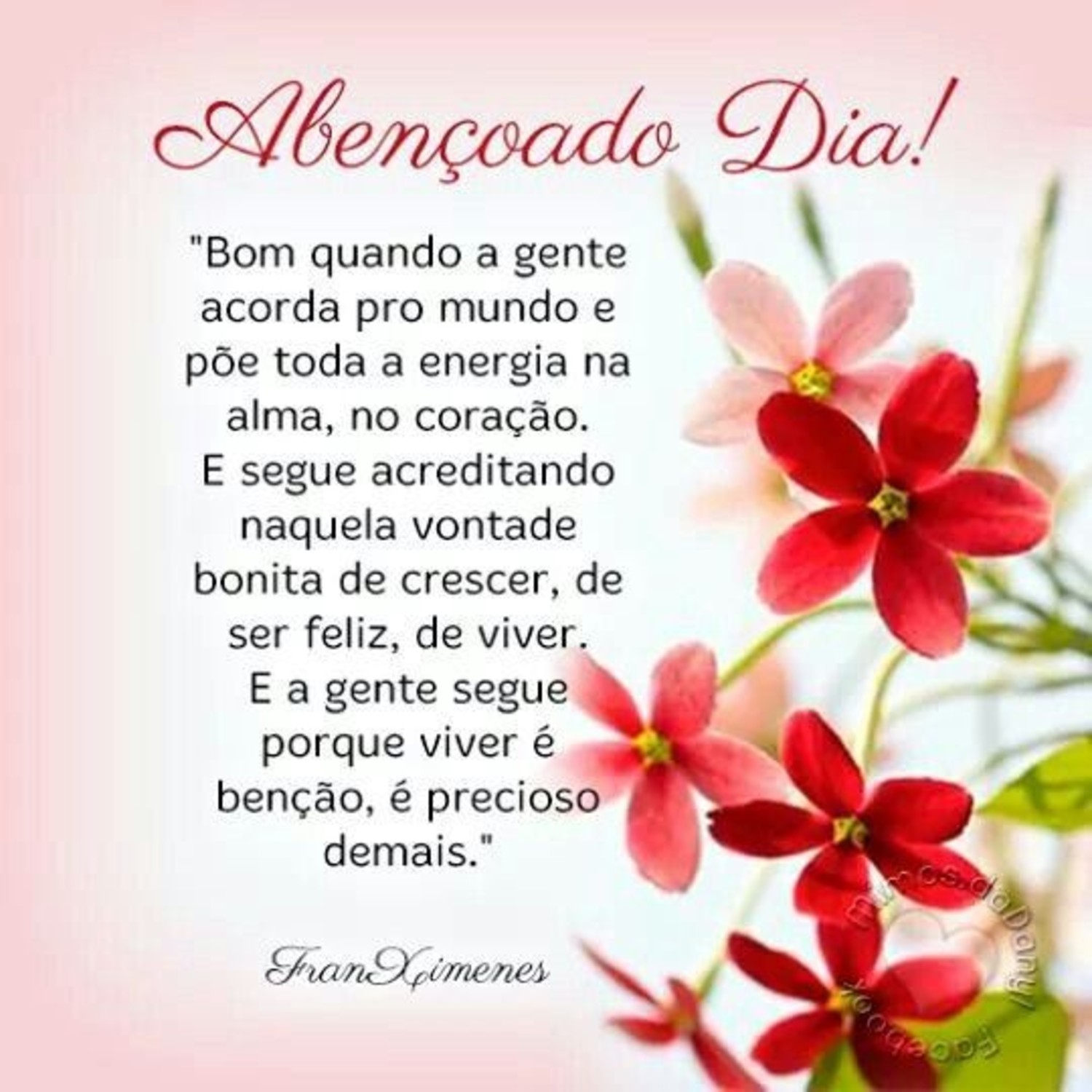 Bom Dia para WhatsApp 797