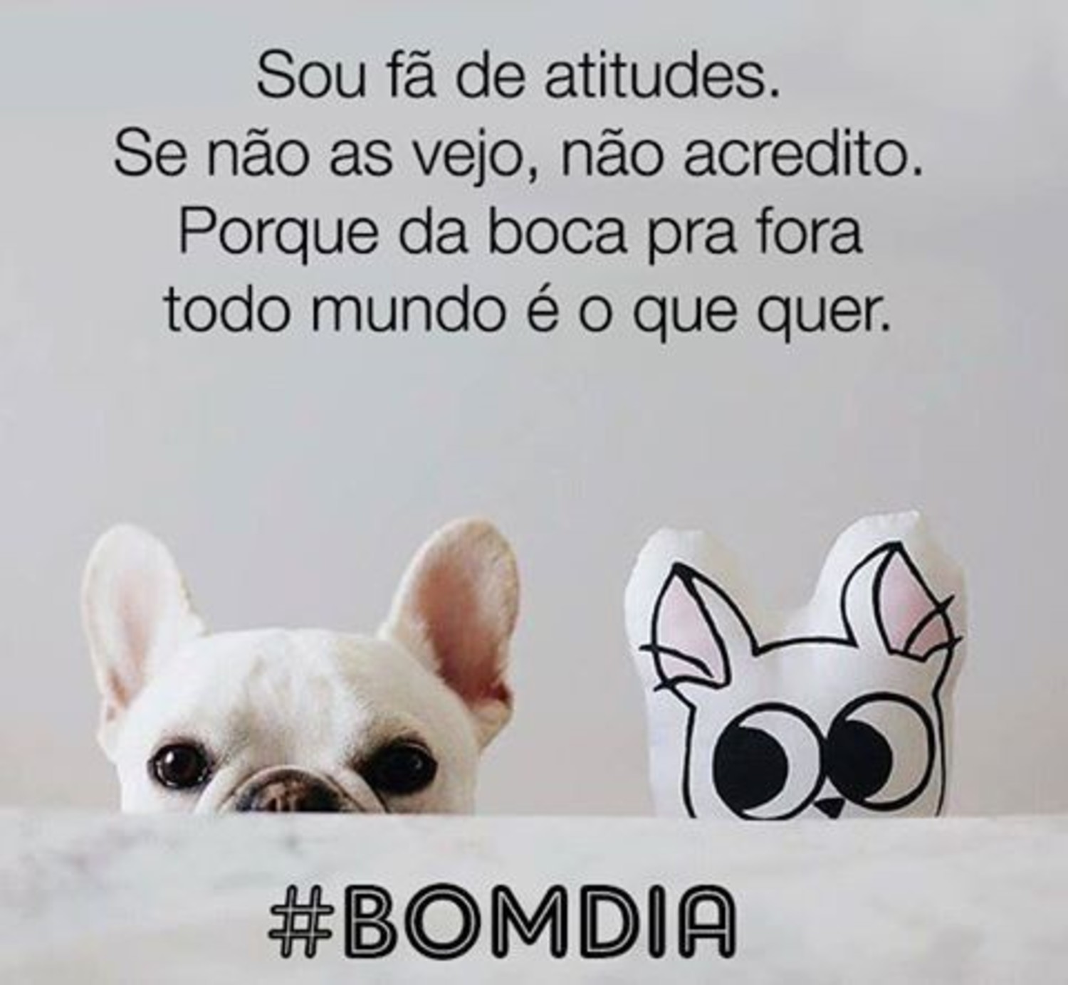 Bom Dia para amigos 824