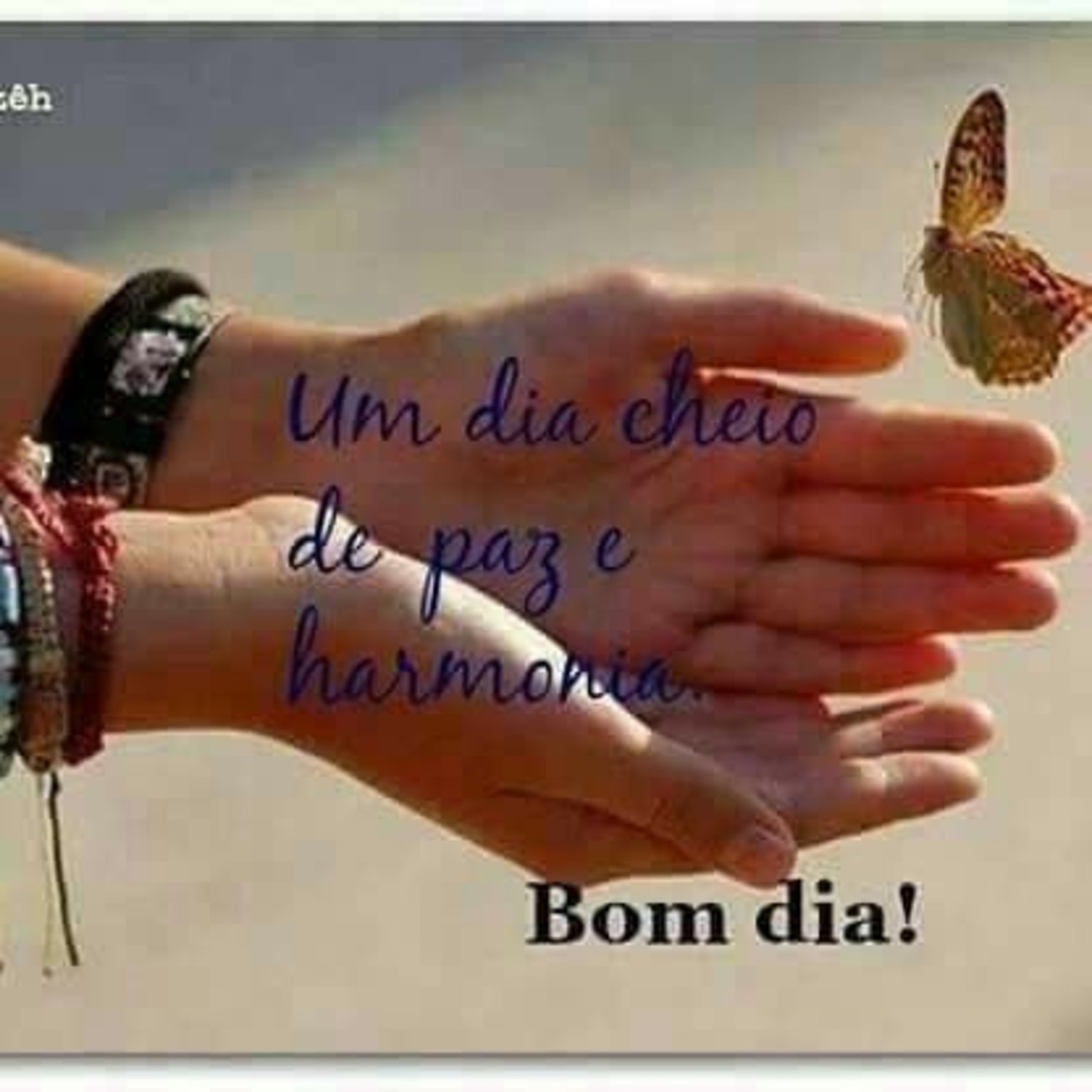 Bom Dia para amigos 827