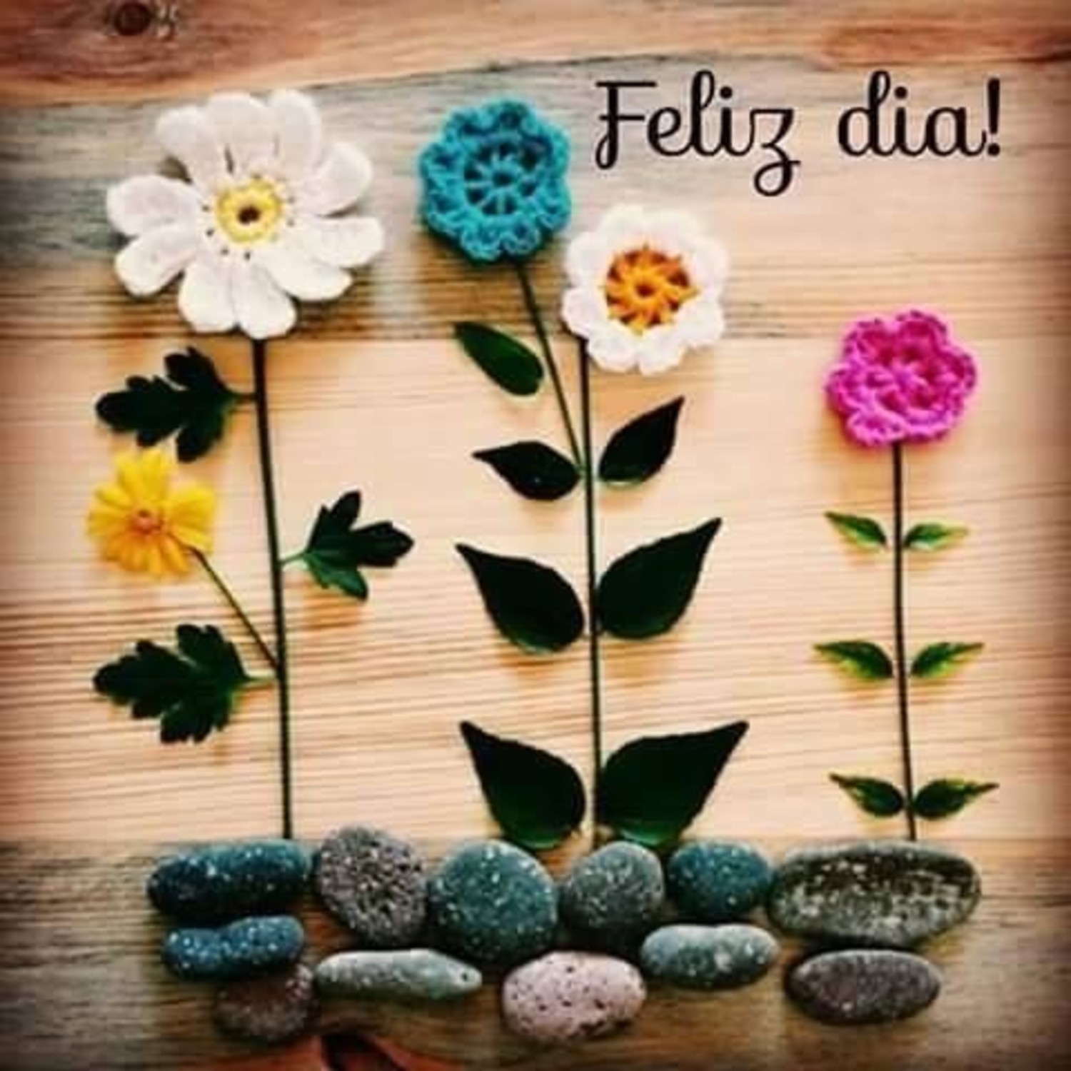 Bom Dia para amigos 834