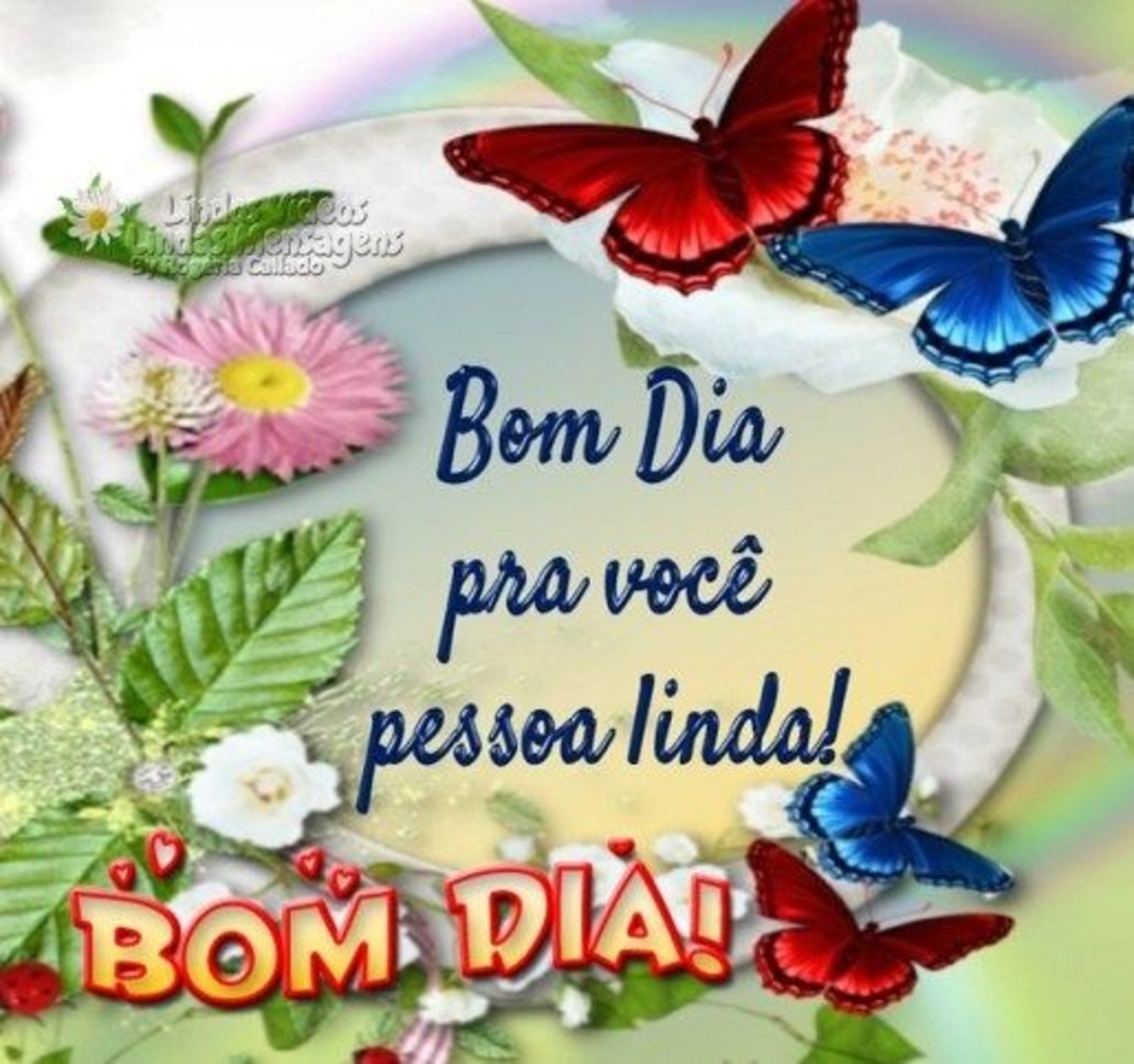 Bom Dia pra você pessoa linda 769 Bom Dia pra você pessoa linda 769