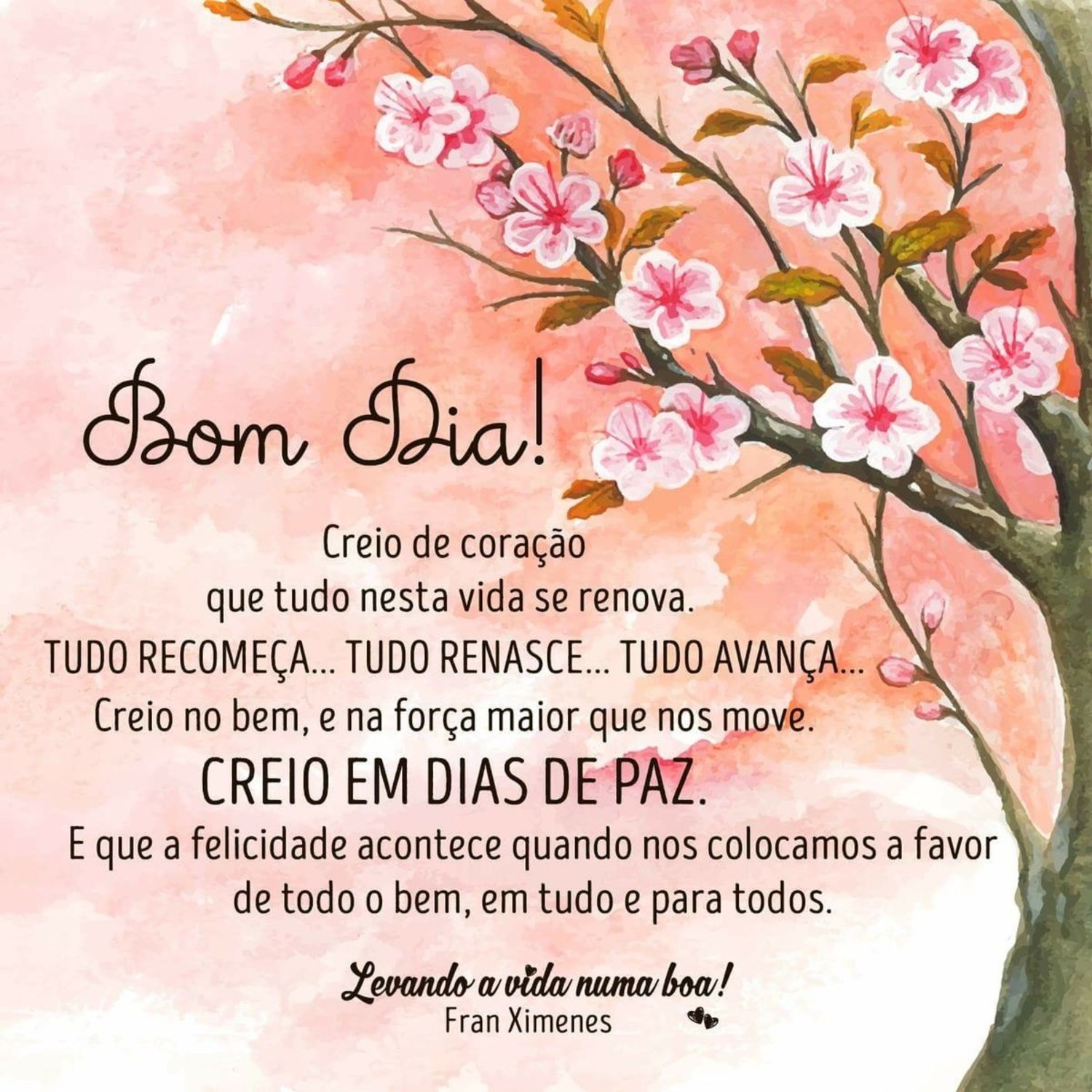 Bom Dia primavera 538 Bom Dia primavera 538