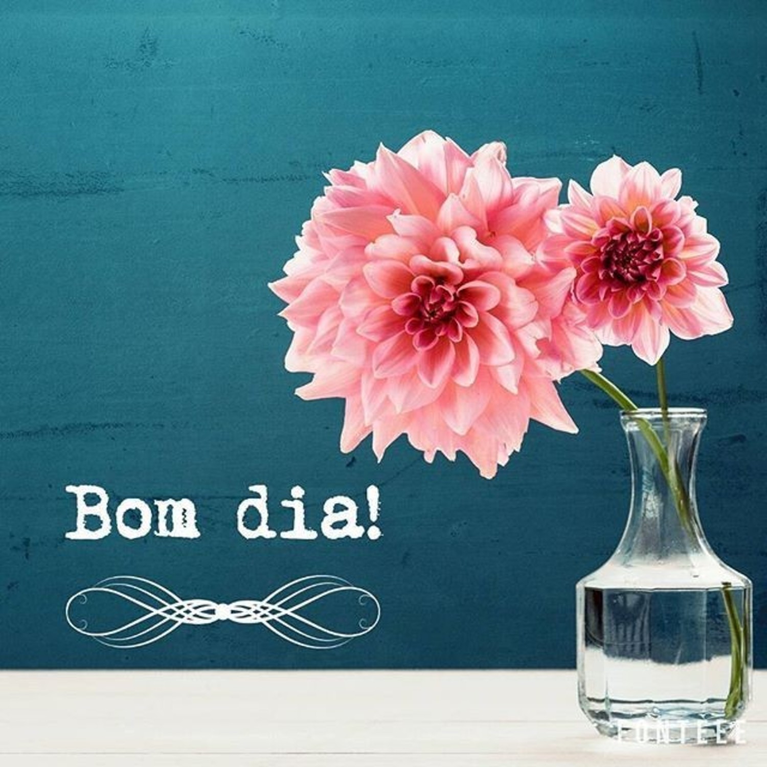 Bom Dia primavera imagens lindas 786 Bom Dia primavera imagens lindas 786