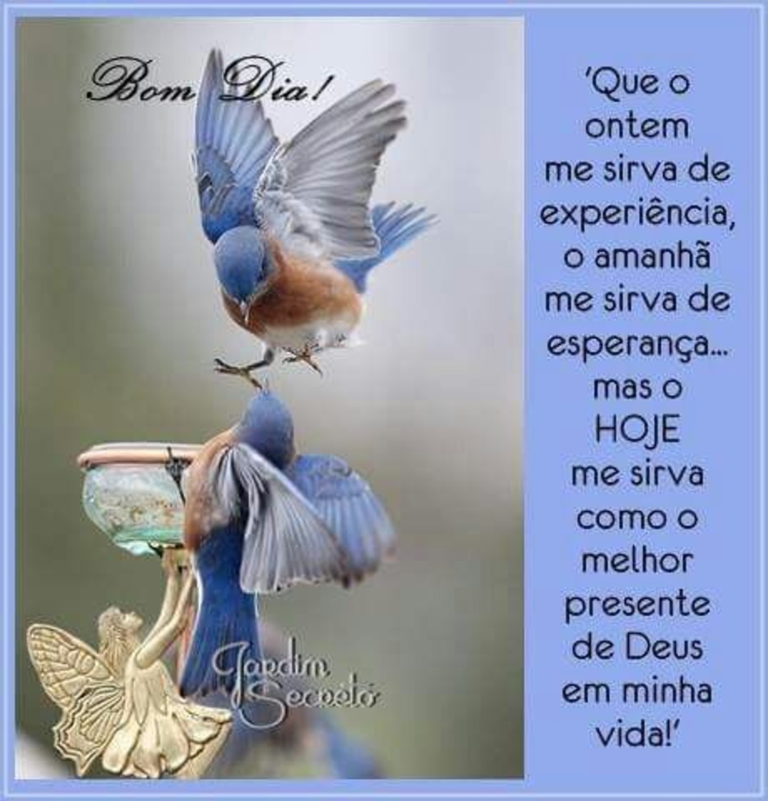 Bom Dia primavera imagens lindas Bom Dia primavera imagens lindas