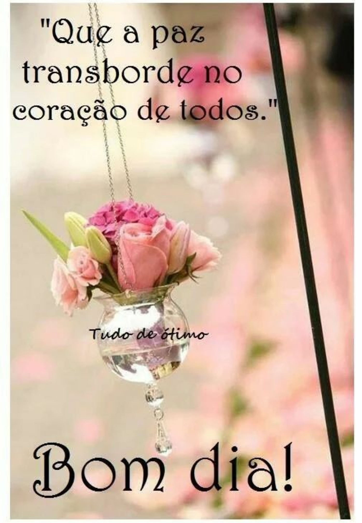 Bom Dia reflexão 844
