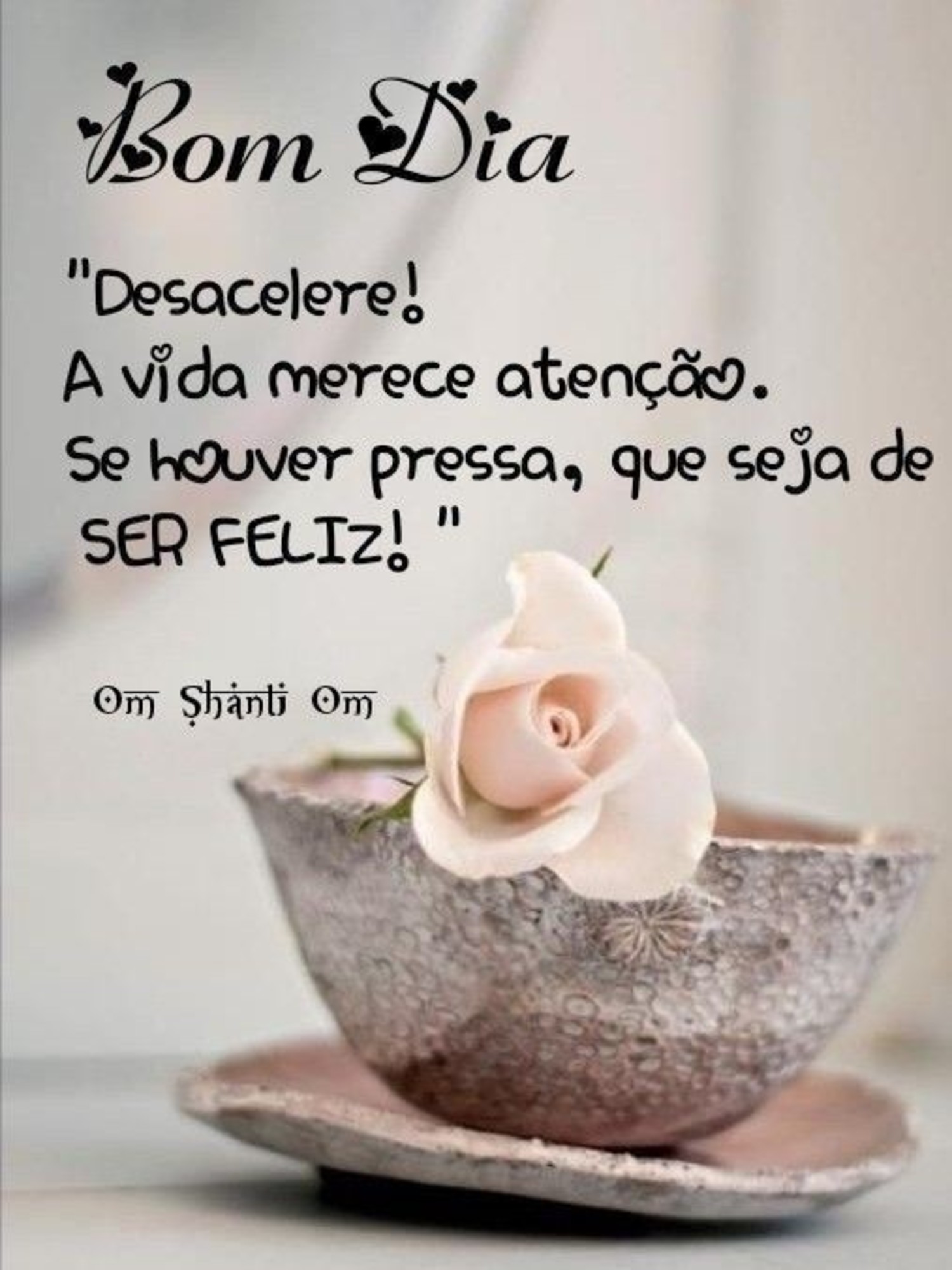 Bom Dia reflexão 850