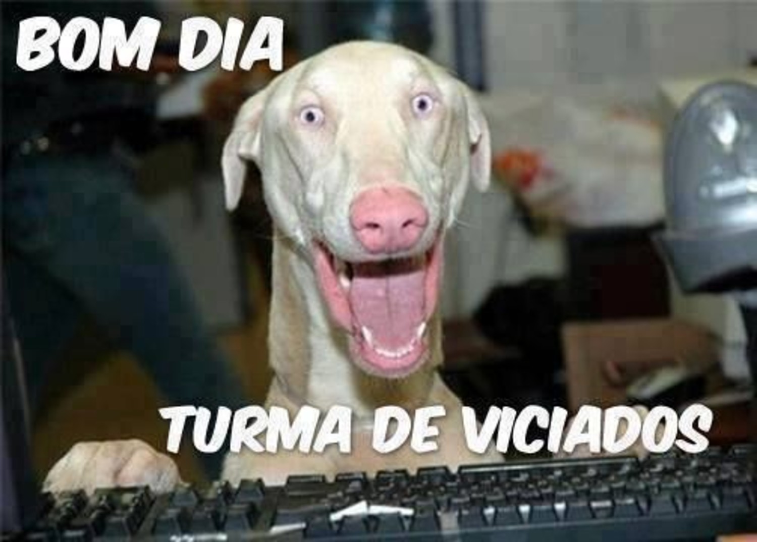 Bom Dia turma de viciados 552