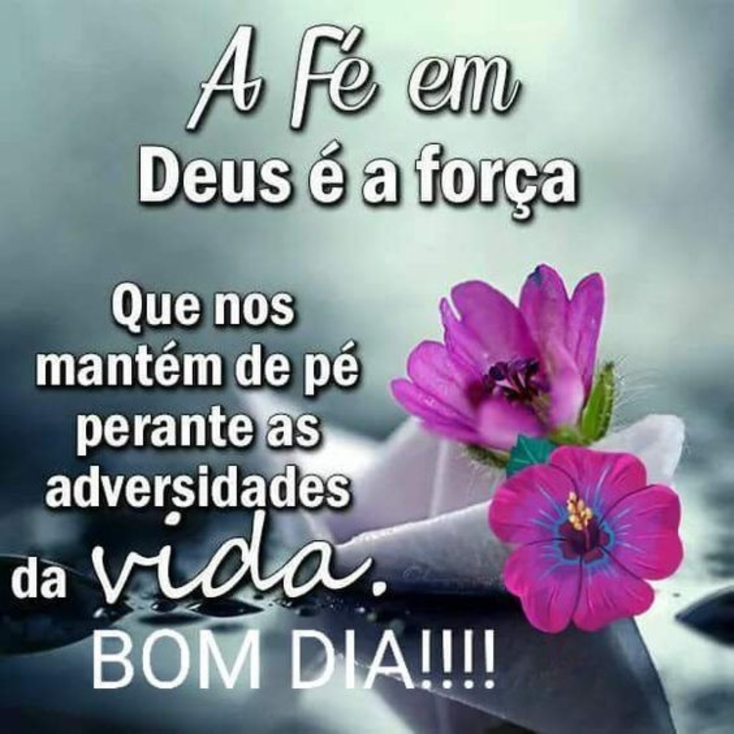 Bom Dia whatsapp imagem Bom Dia whatsapp imagem