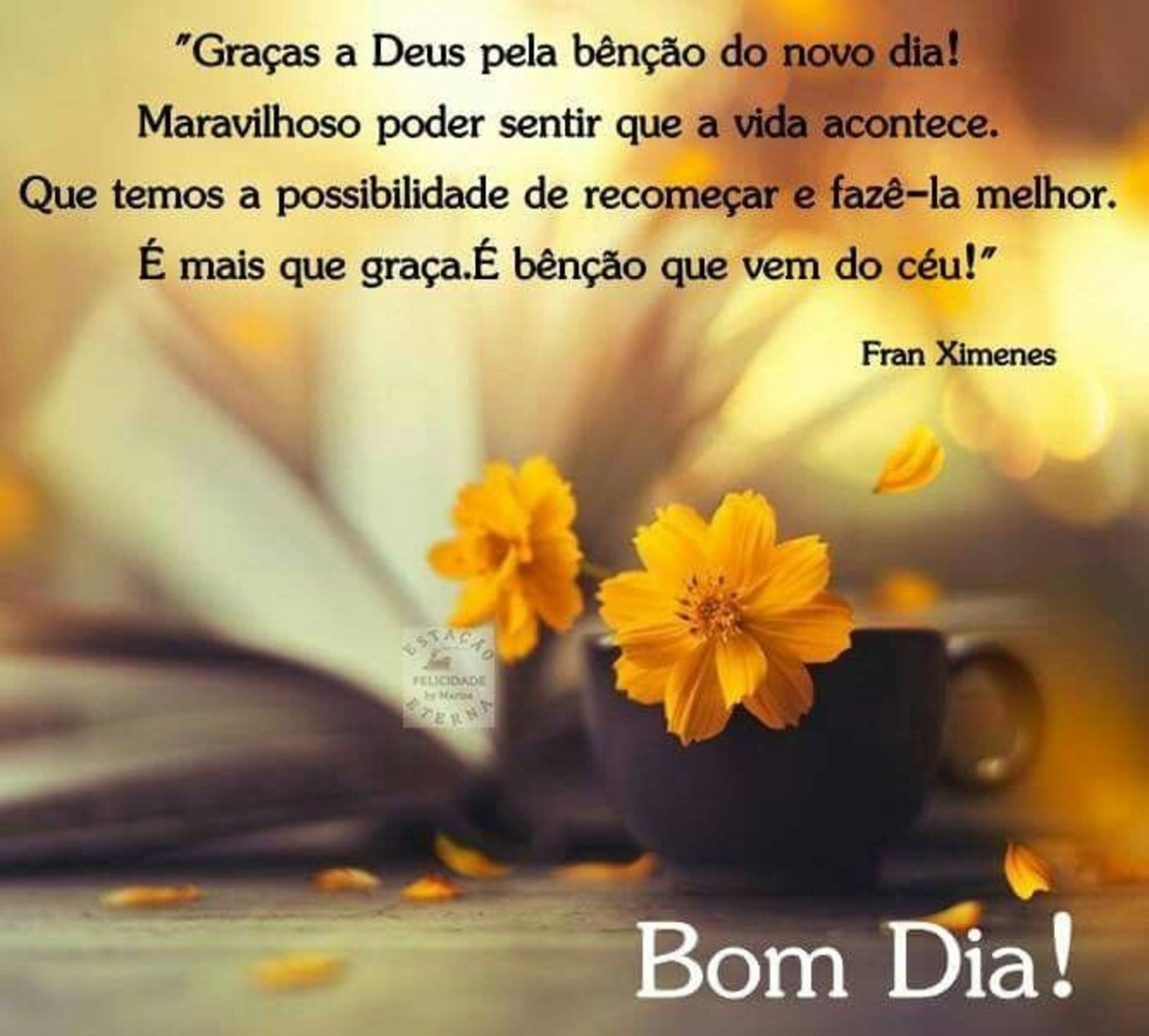 Bom Dia whatsapp imagem linda Bom Dia whatsapp imagem linda