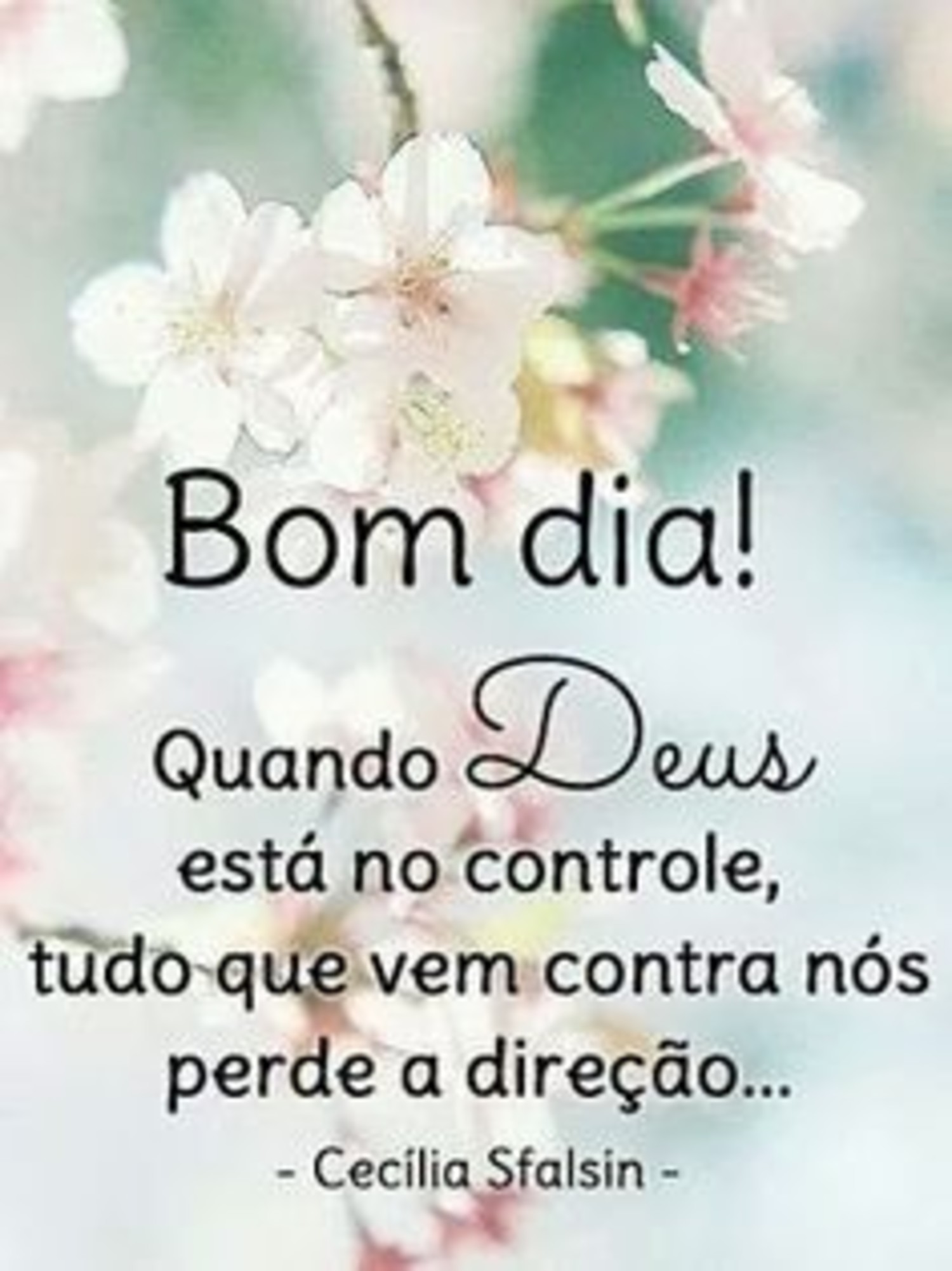 Bom Dia whatsapp imagem linda 879