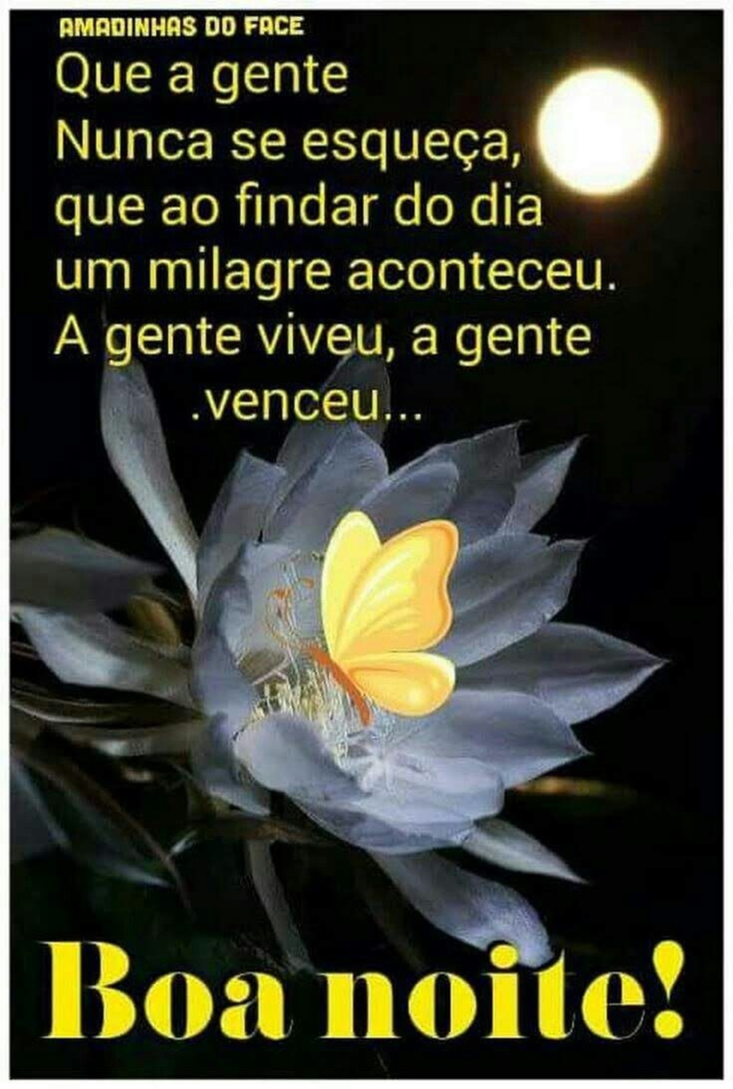 Imagem Boa Noite com mensagem 844