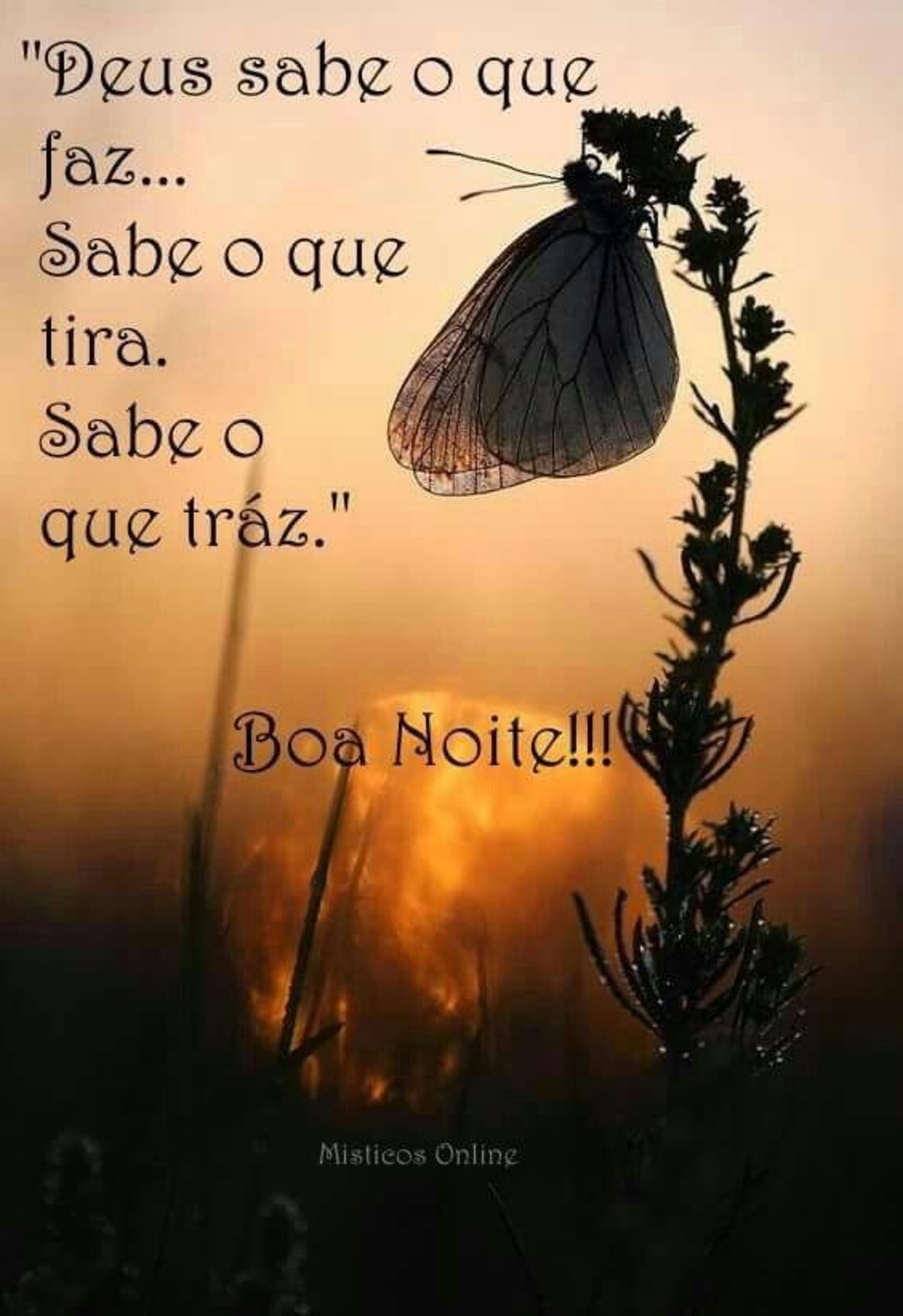 Imagem Boa Noite grupo familia 773