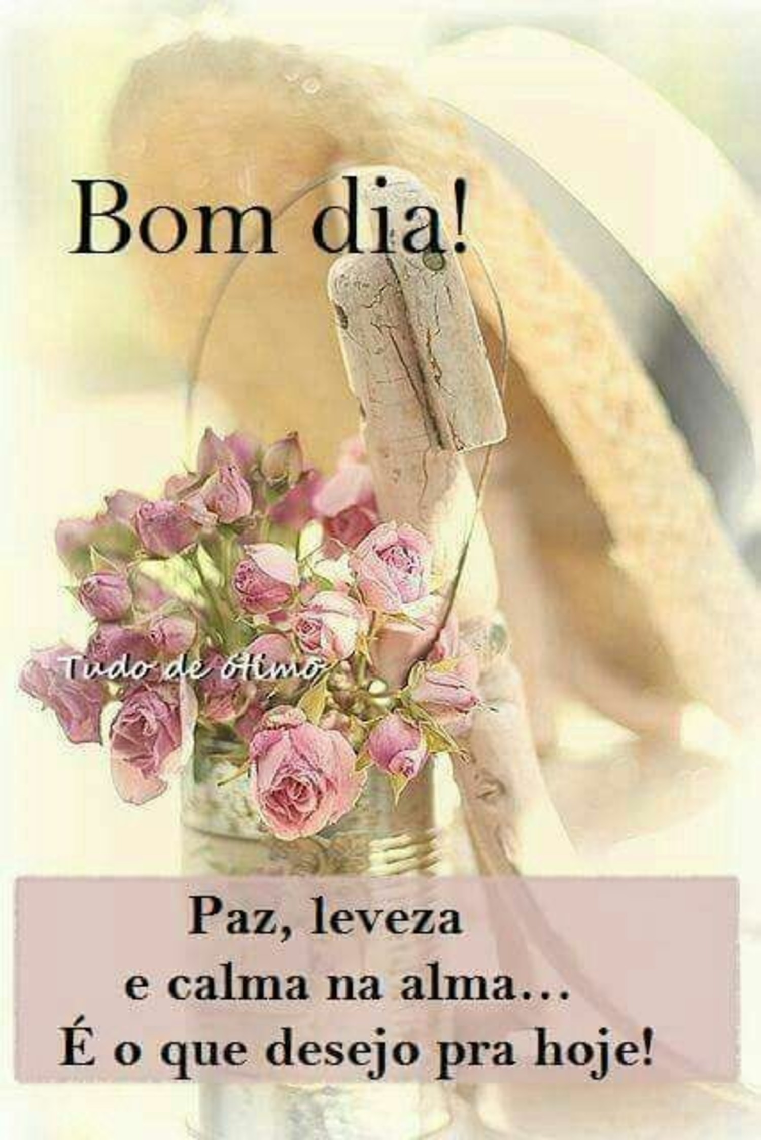 Imagem de Bom Dia bonitas 981 Imagem de Bom Dia bonitas 981