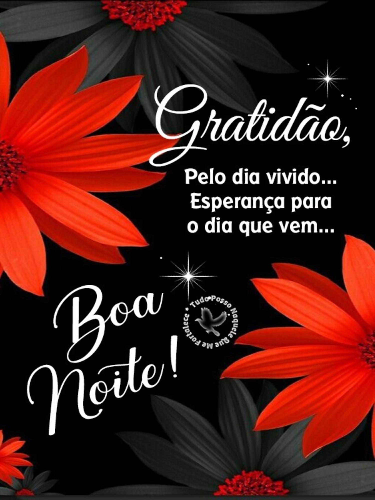 Imagens Boa Noite Facebook 801