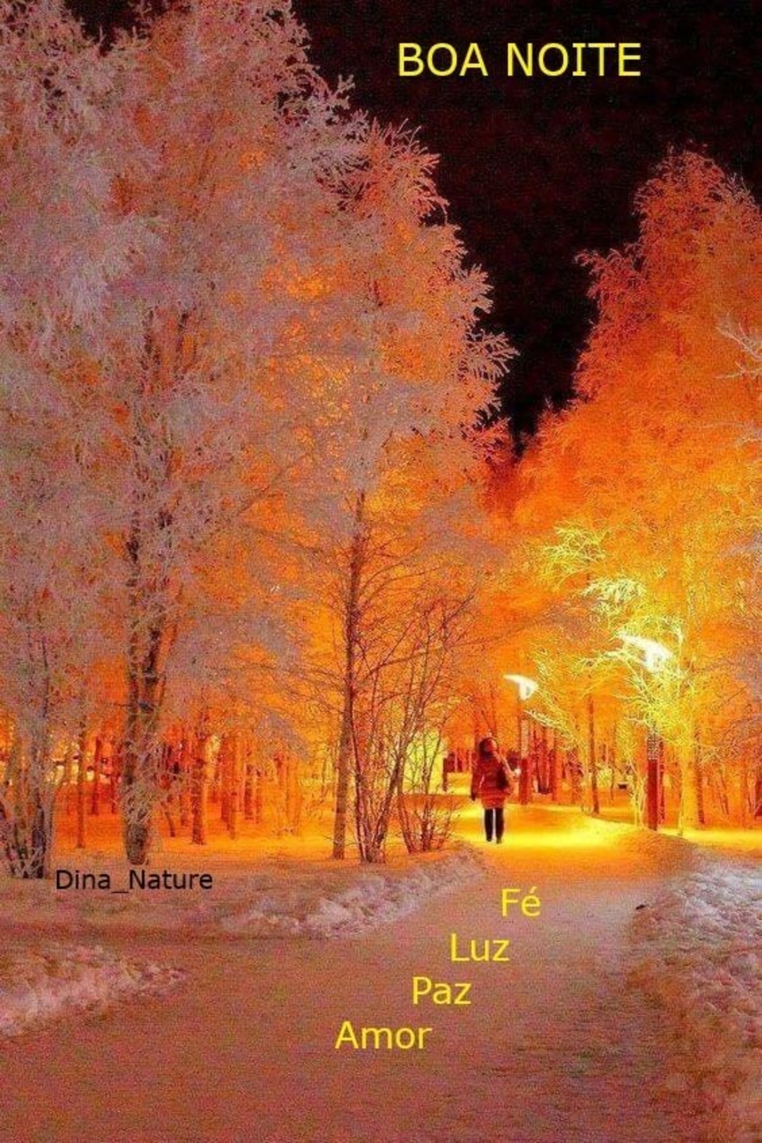 Imagens Boa Noite inverno 571