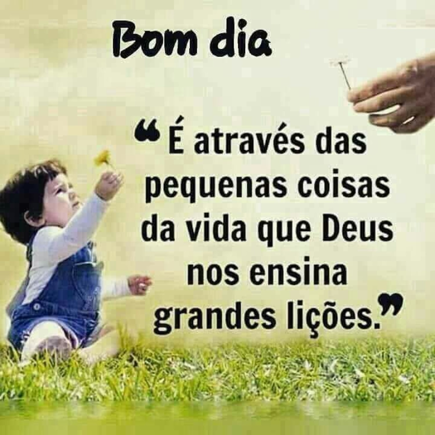Imagens Bom Dia amigos 953