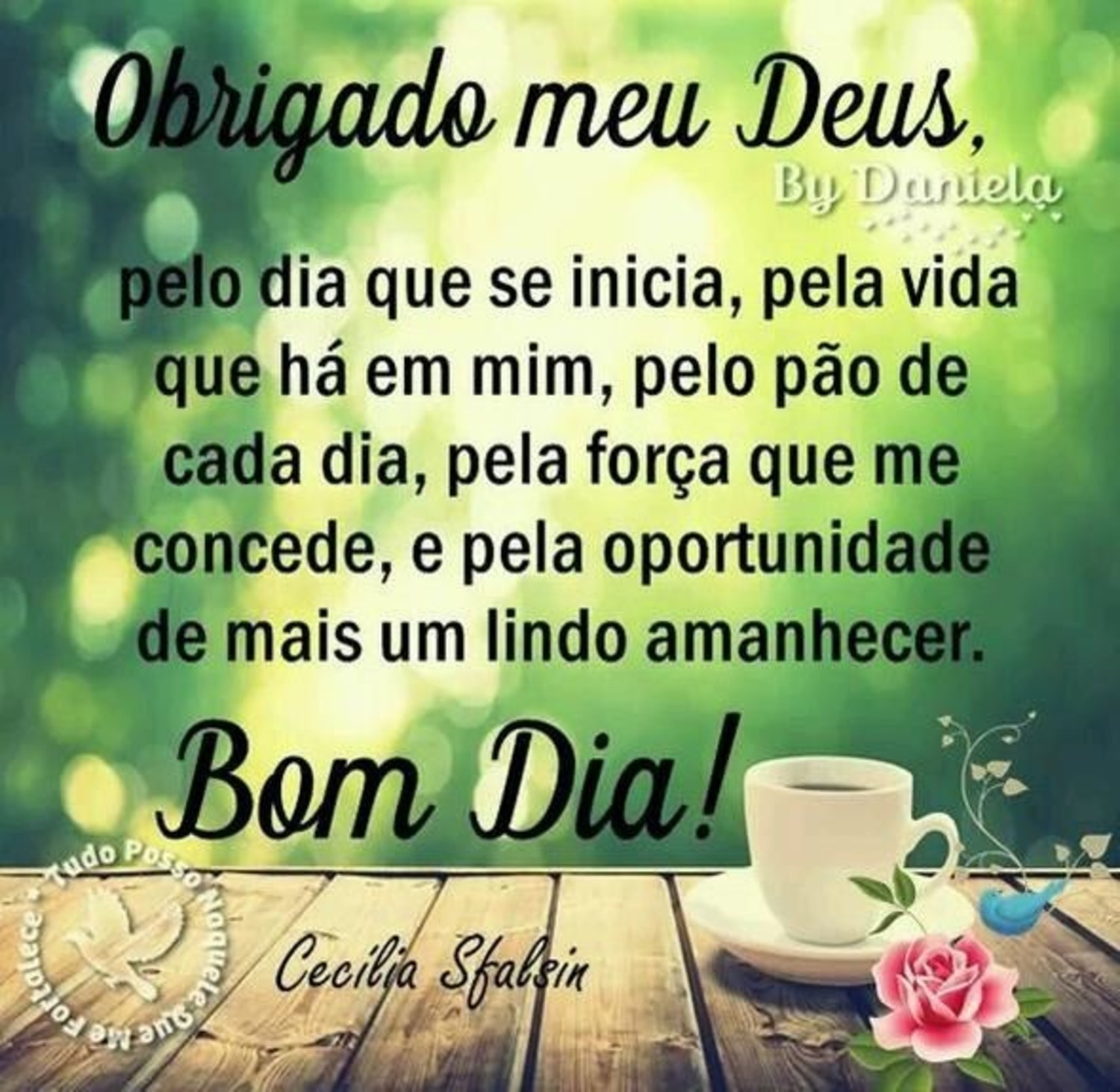 Imagens Bom Dia amigos 959