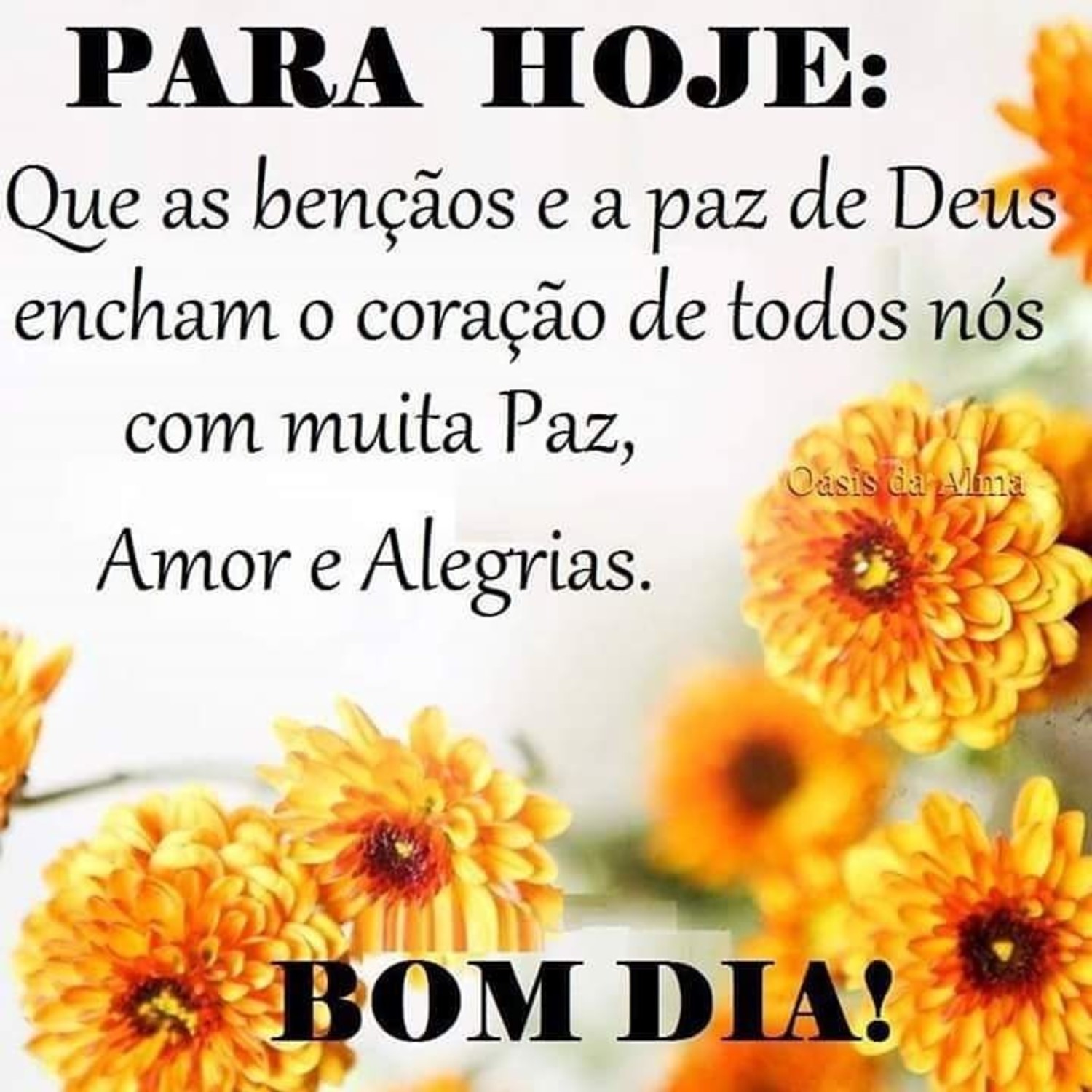 Imagens Bom Dia amigos Imagens Bom Dia amigos