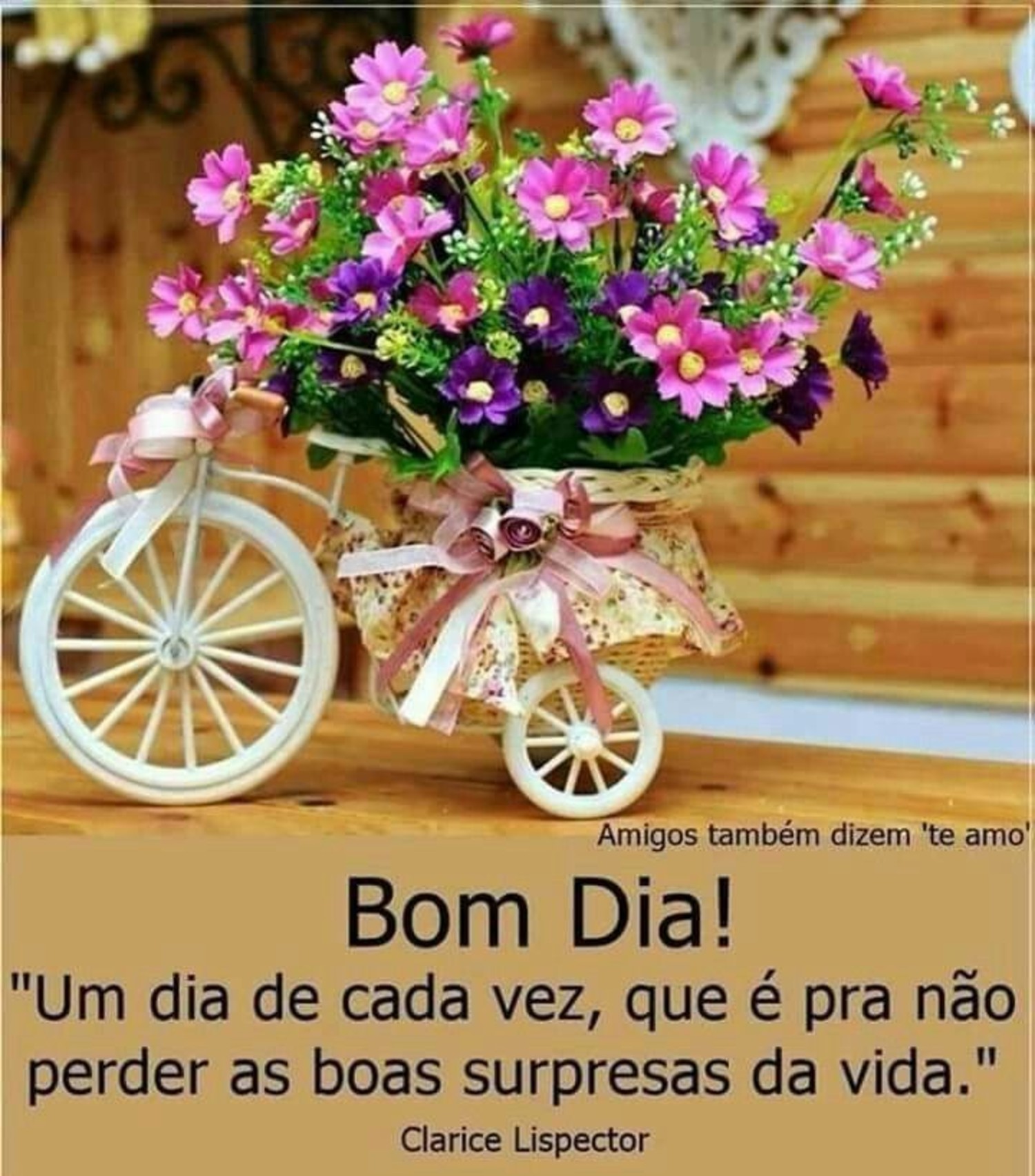 Imagens Bom Dia de amizade - ImagensBomDia.net