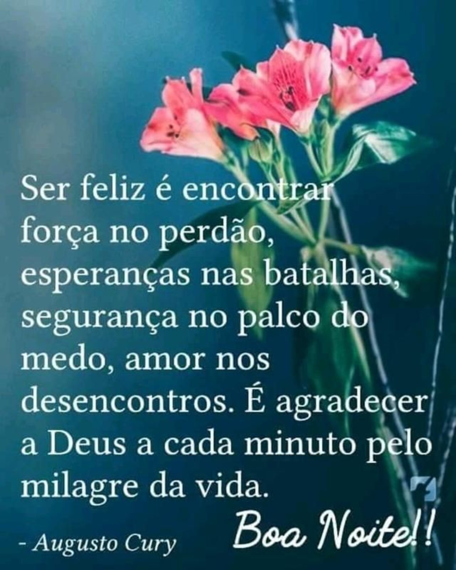 Imagens Pinterest Boa Noite com flores 621