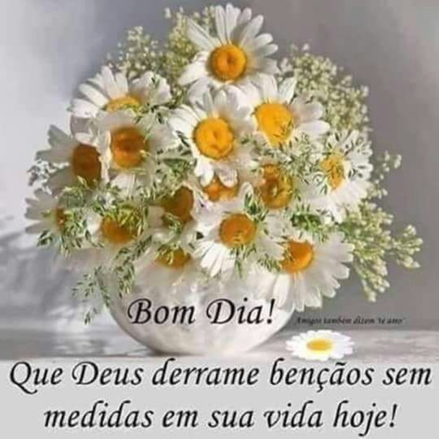Imagens bonitas Bom Dia 503
