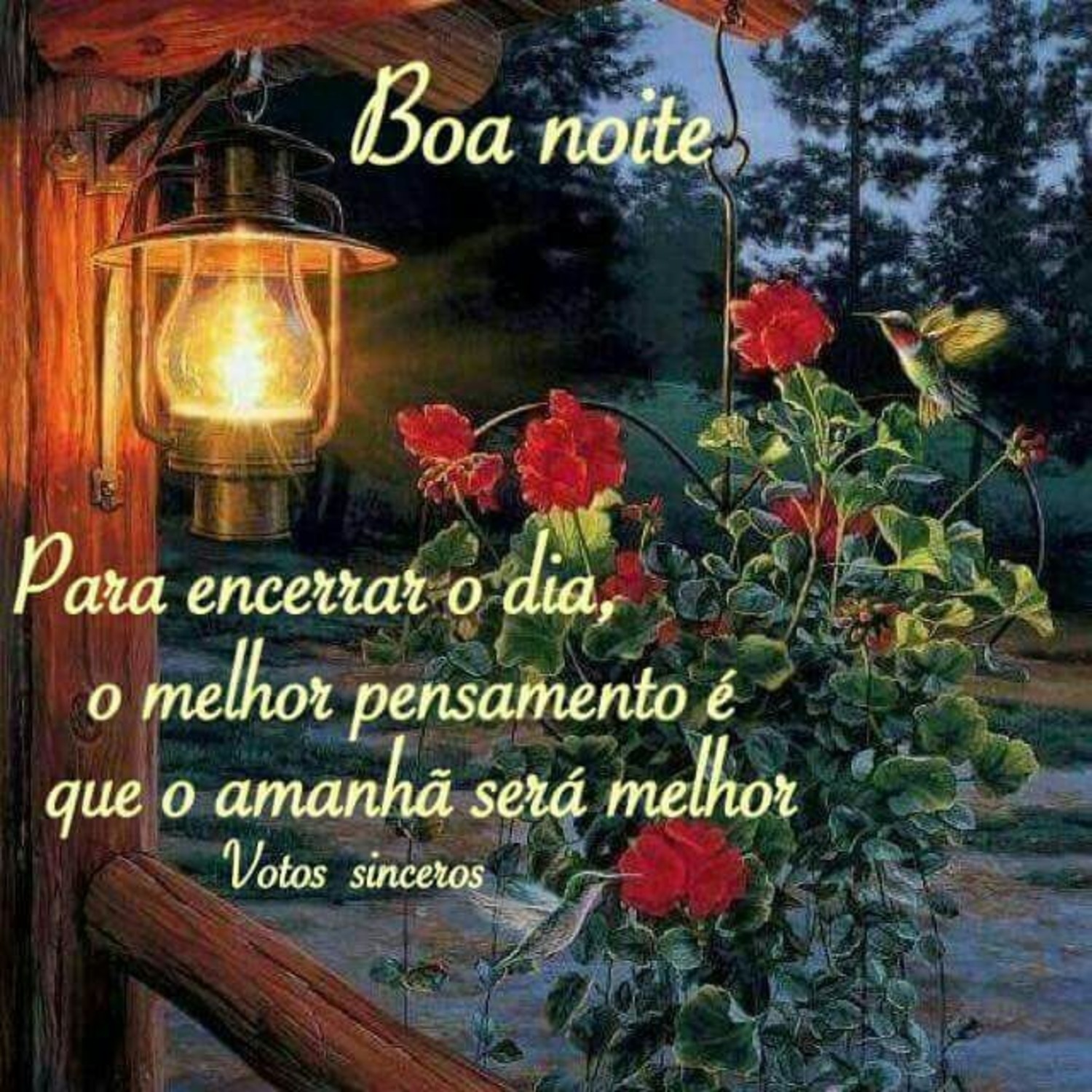 Imagens de Boa Noite de WhatsApp 833