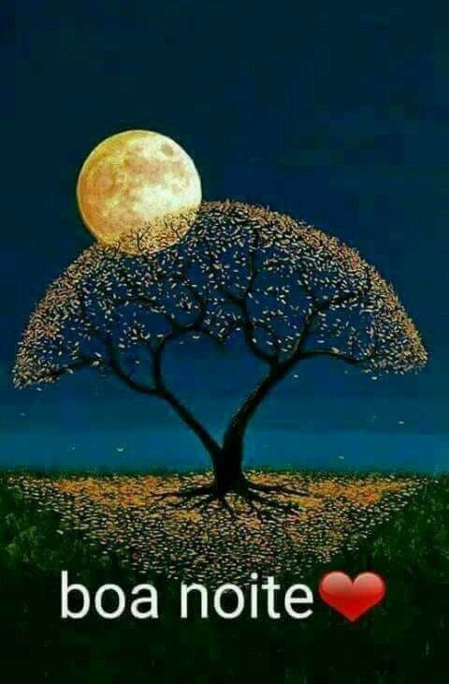 Imagens de Boa Noite de WhatsApp 840