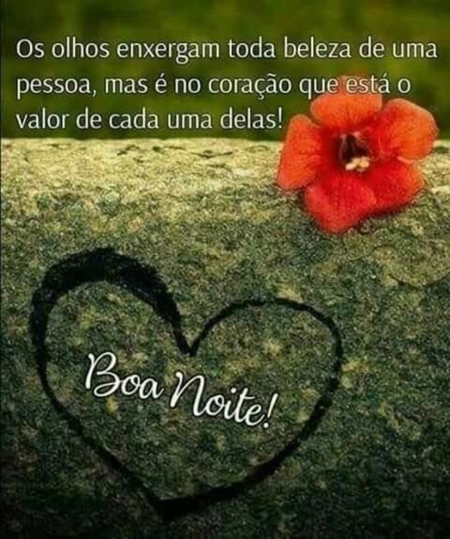 Imagens de Boa Noite familia para WhatsApp 783
