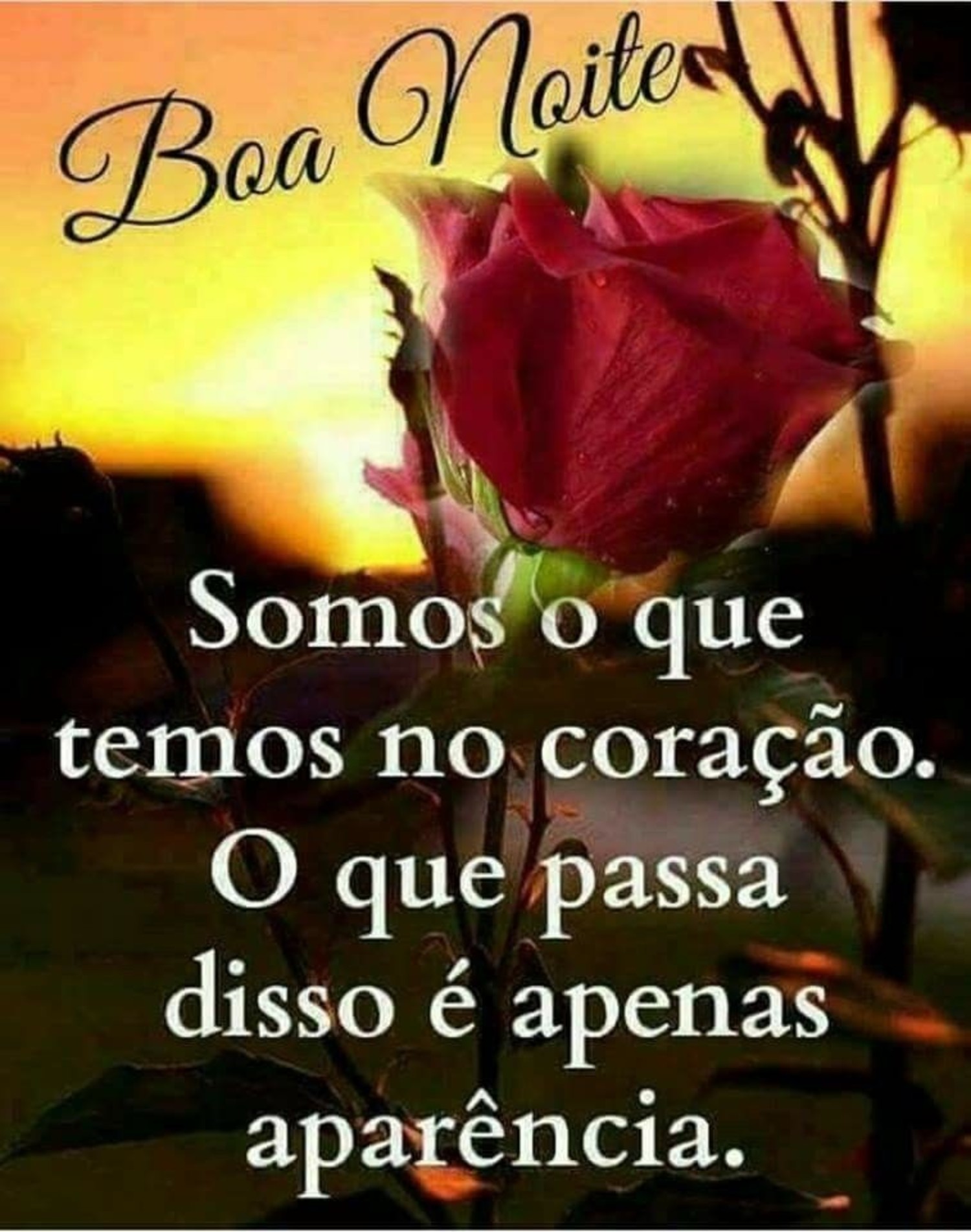 Imagens de Boa Noite familia para WhatsApp 790