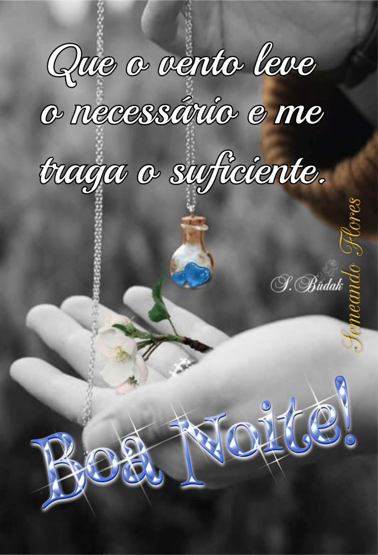 Linda Noite 919