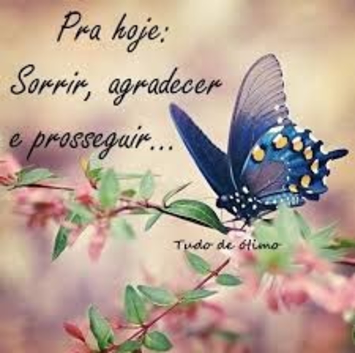 Mensagem Bom Dia 676