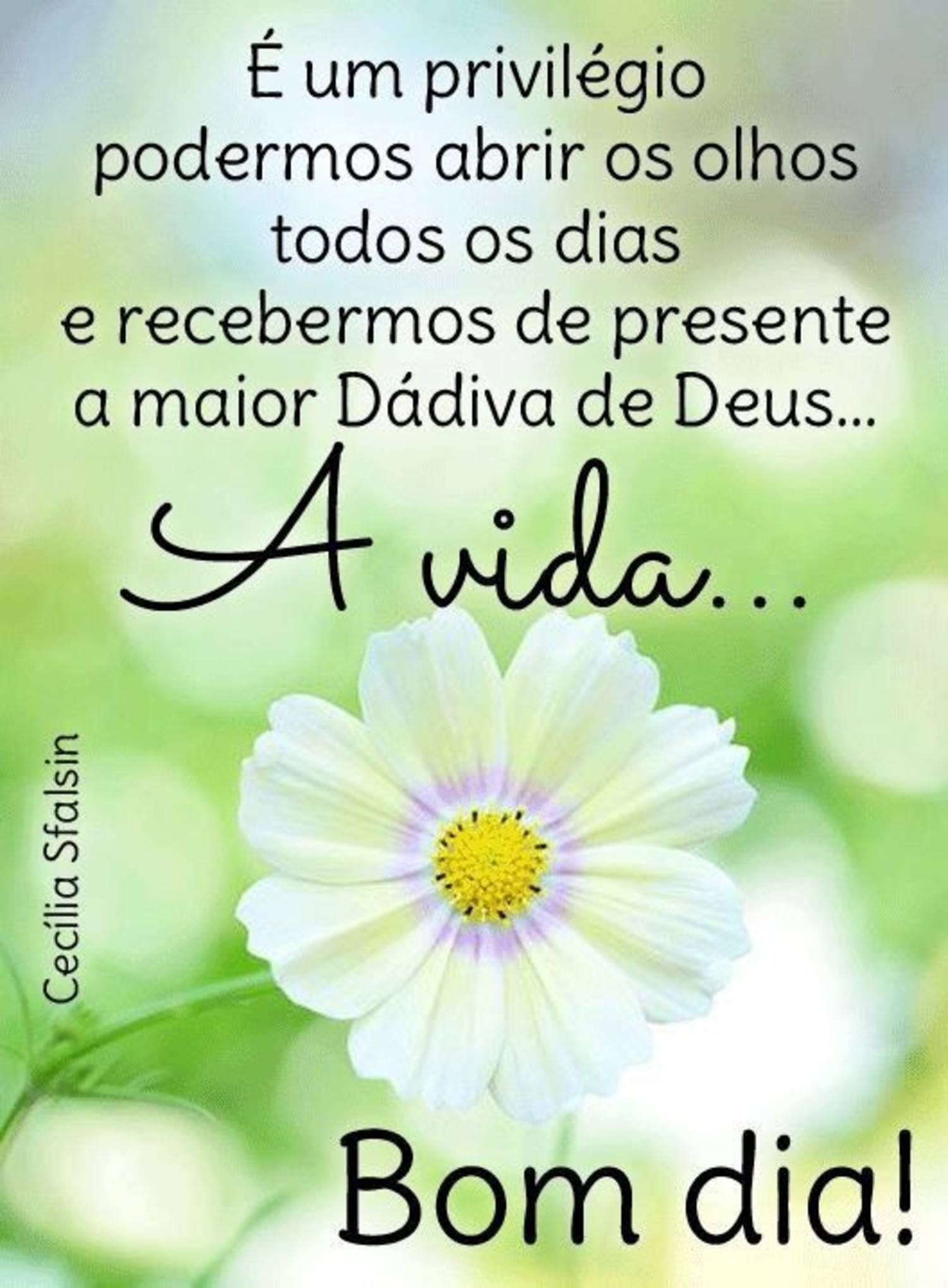 Mensagem Bom Dia 681 Mensagem Bom Dia 681