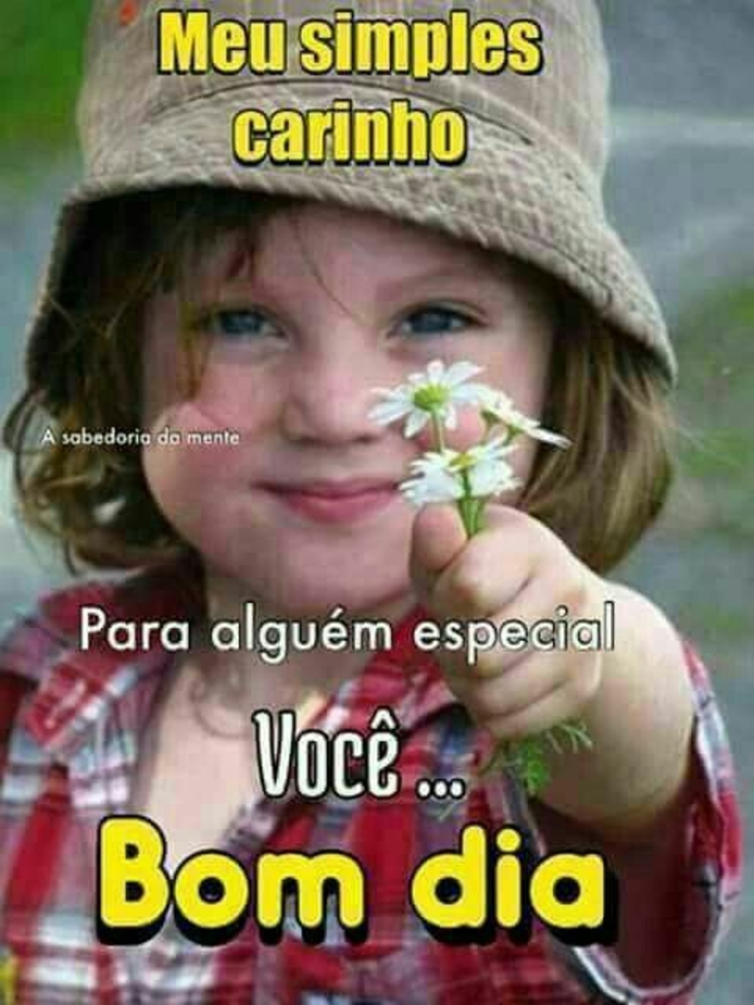 Mensagem Bom Dia 682