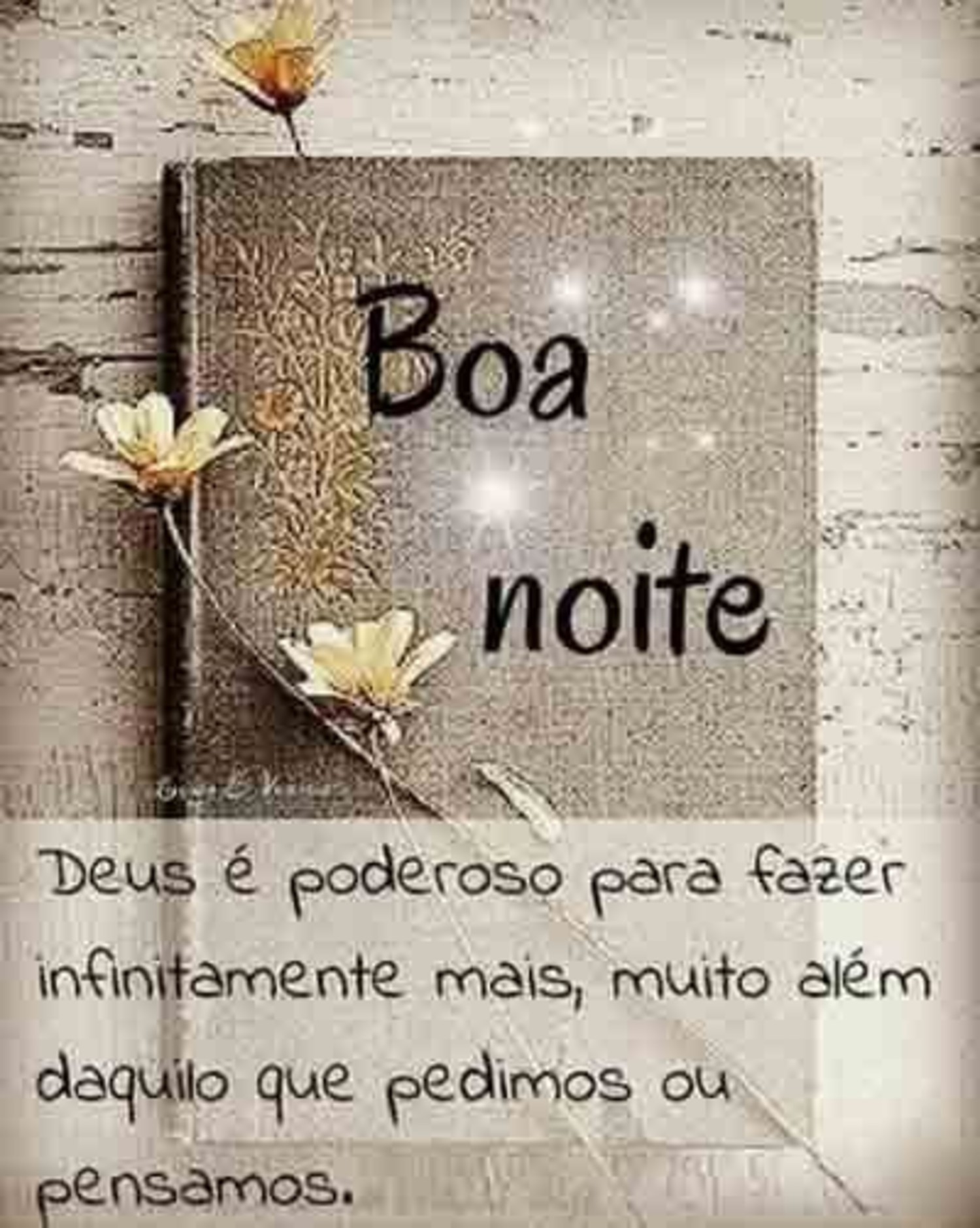 Mensagens Boa Noite WhatsApp 983