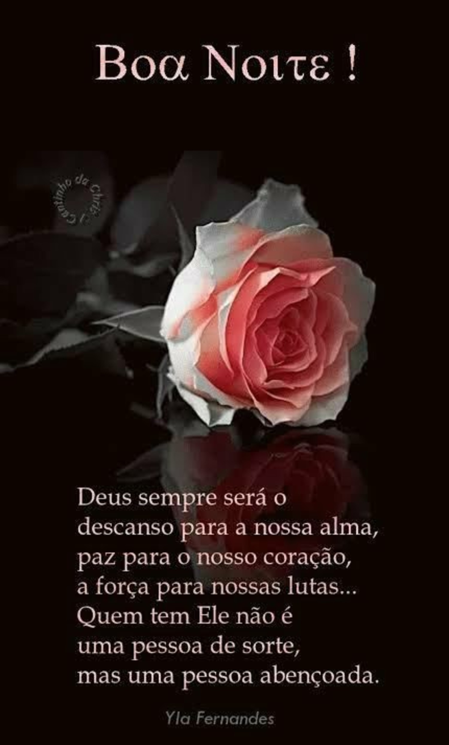 Mensagens Boa Noite WhatsApp 988